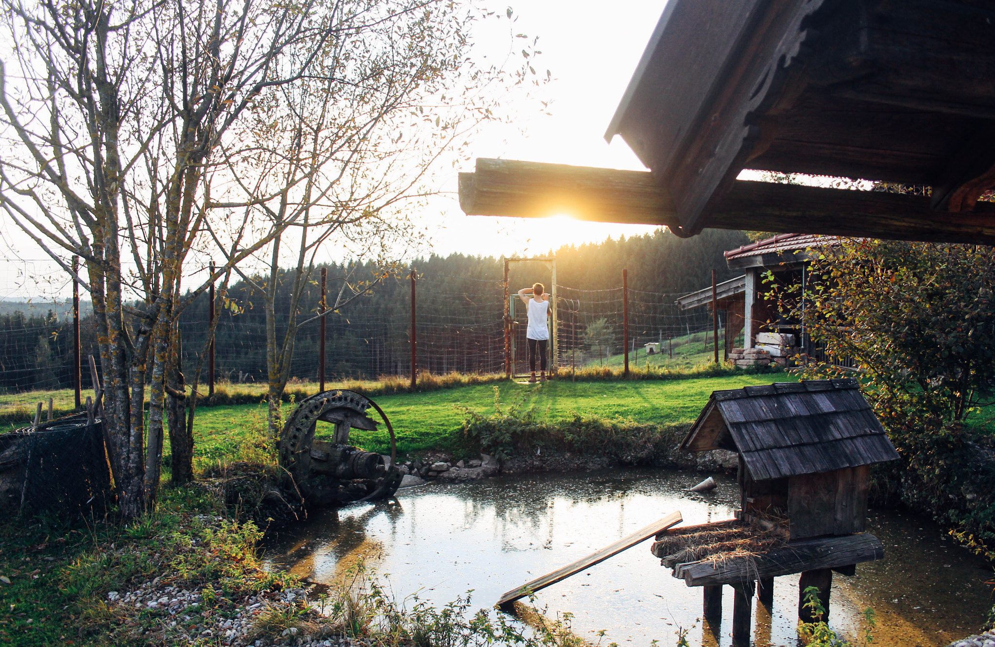Canon EF-S 18-55mm F3.5-5.6 II sample photo. Farm photography