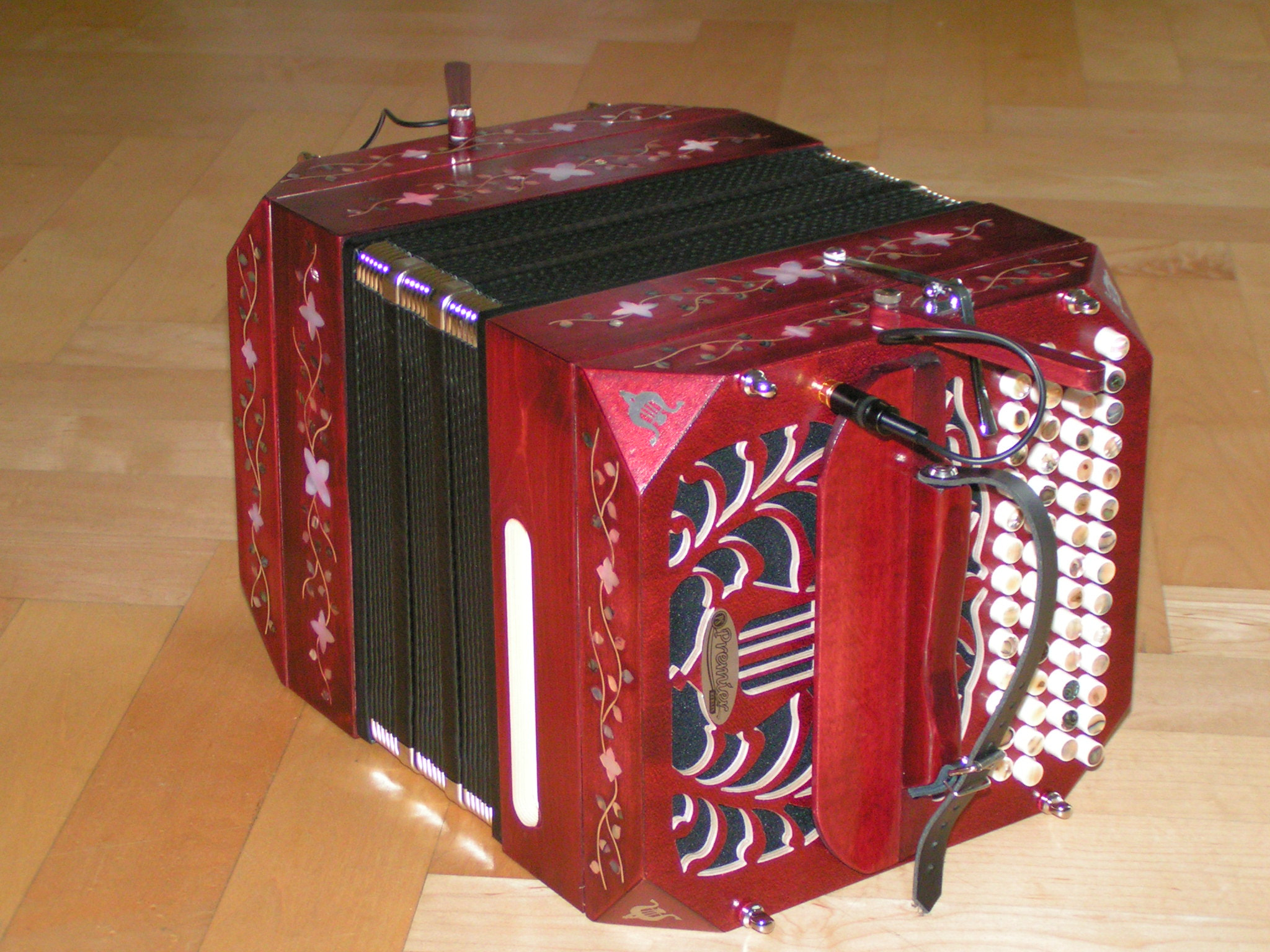 KONICA MINOLTA DiMAGE Z1 sample photo. A c-system premier-bandoneon - diskantside photography