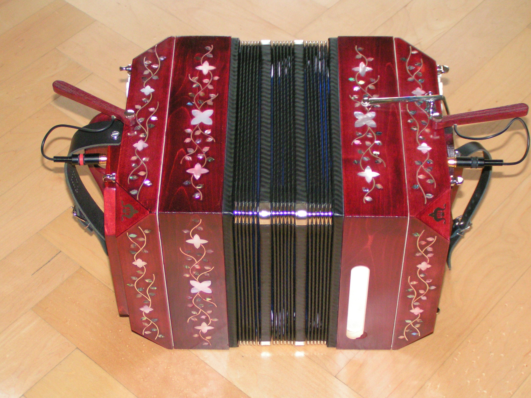 KONICA MINOLTA DiMAGE Z1 sample photo. A c-system premier-bandoneon - with microphones photography