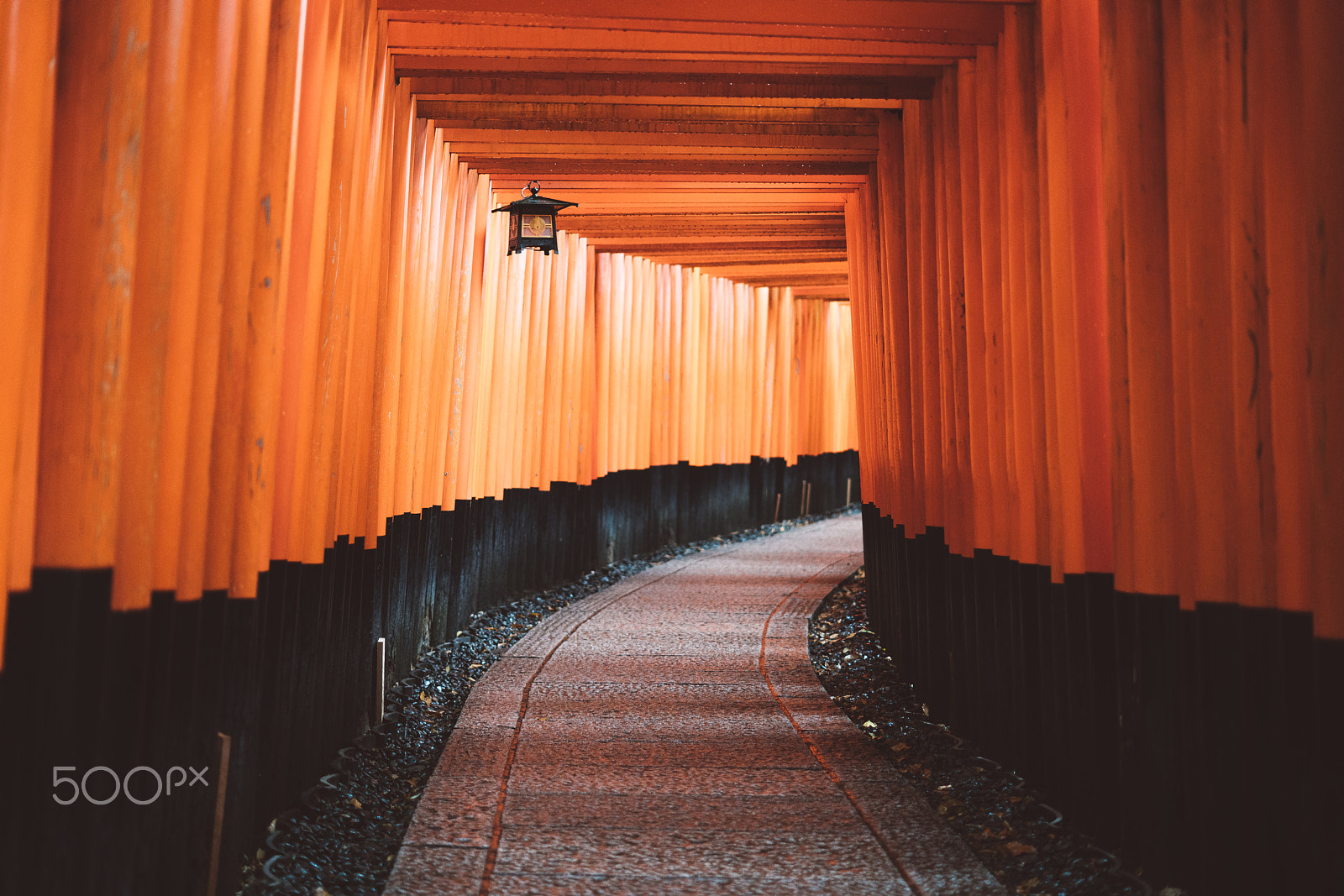 Sony a7R II + Sony FE 50mm F1.8 sample photo. Fushimi inari shrine photography