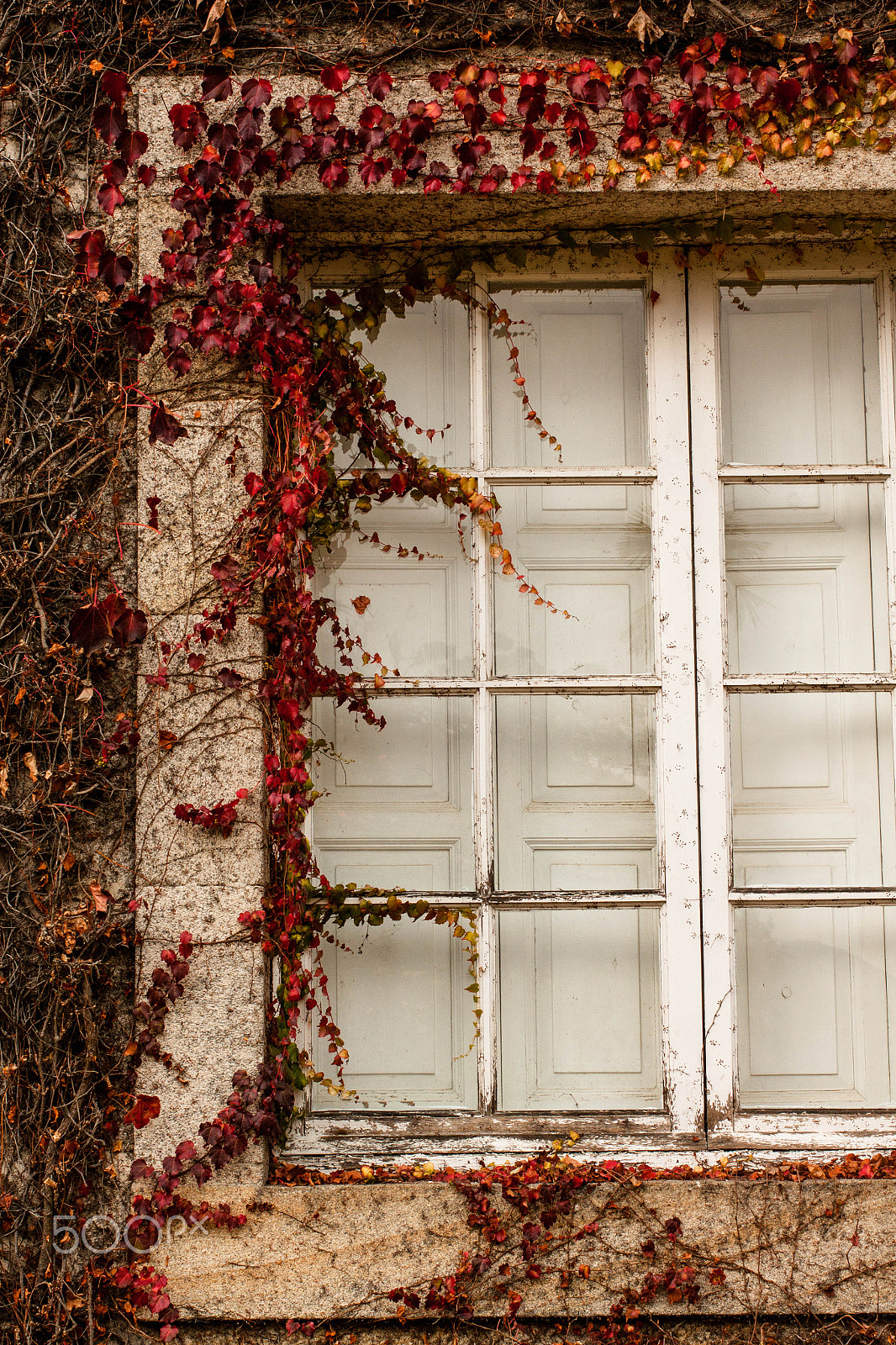 Canon EOS 500D (EOS Rebel T1i / EOS Kiss X3) sample photo. Romantic window photography