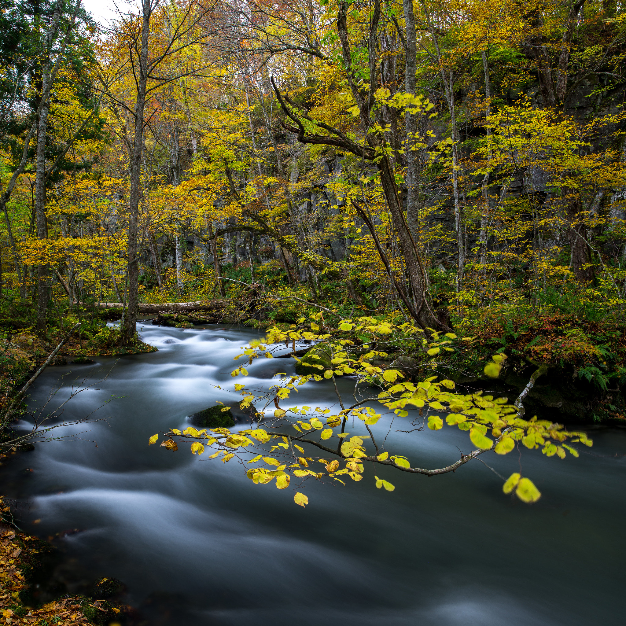 HD Pentax-DA645 28-45mm F4.5ED AW SR sample photo. Autumn photography