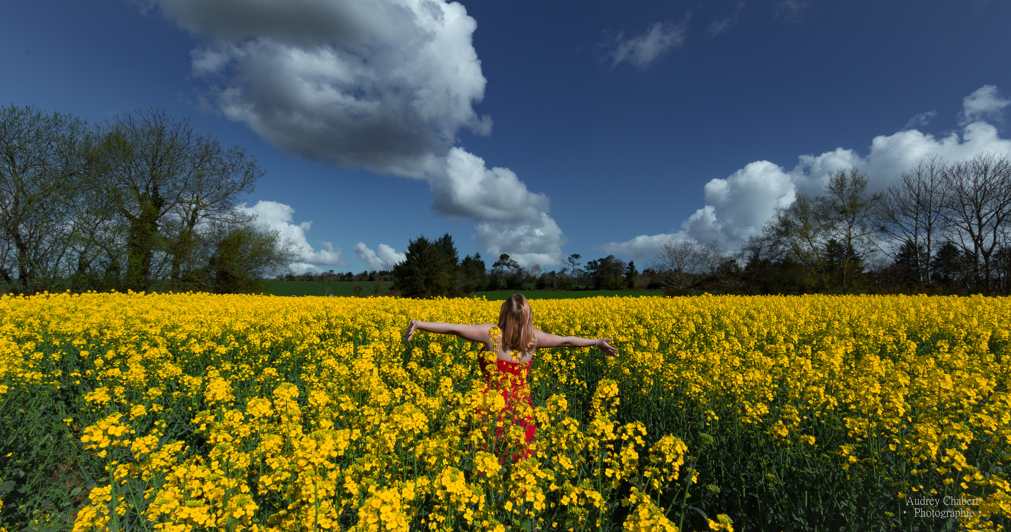 Canon EOS 1200D (EOS Rebel T5 / EOS Kiss X70 / EOS Hi) + Sigma 10-20mm F4-5.6 EX DC HSM sample photo. Alia photography