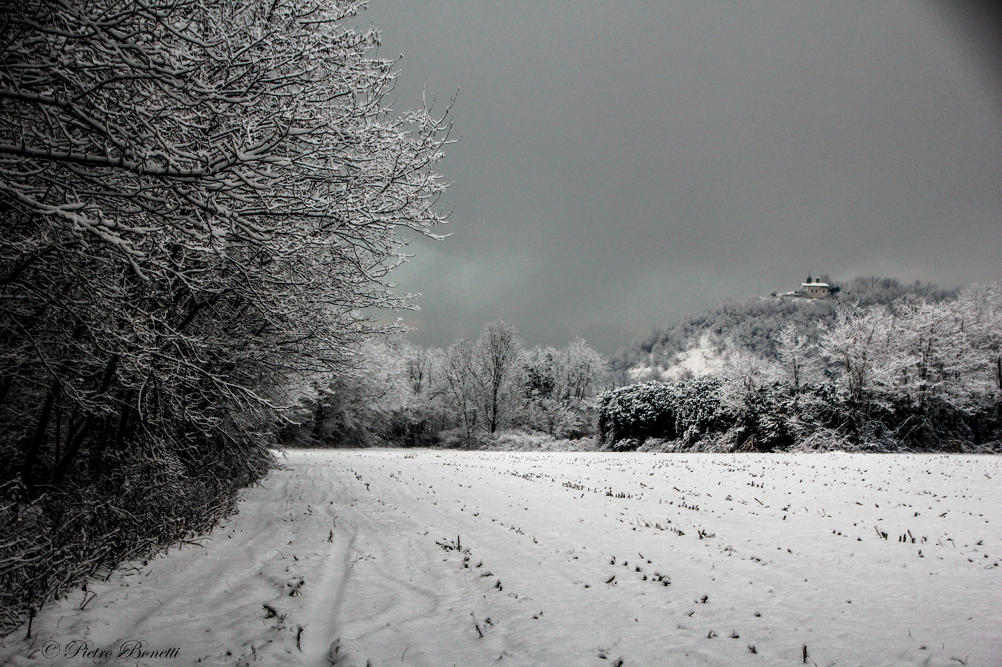 Canon EOS 60D sample photo. Winter storm photography
