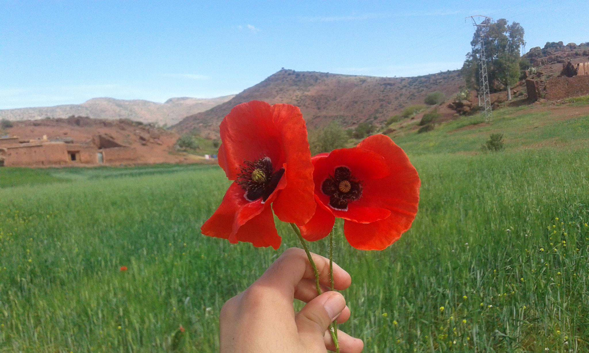 Samsung Galaxy Grand Neo Plus sample photo. What a view photography