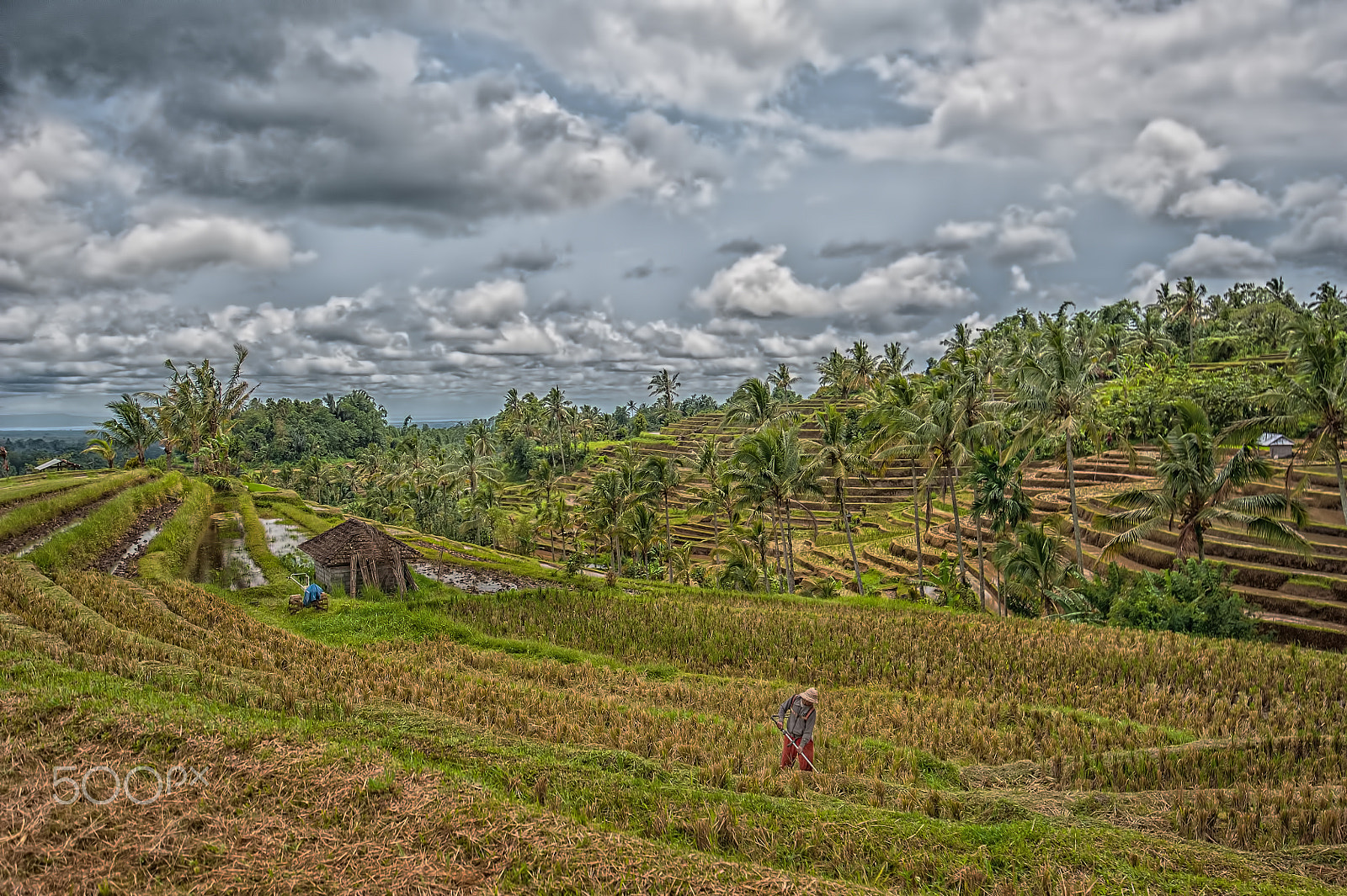 Tamron SP 15-30mm F2.8 Di VC USD sample photo. Bali 3 photography