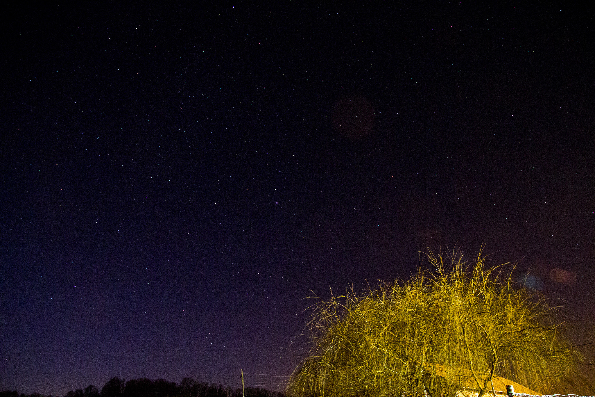 Canon EF-S 17-85mm F4-5.6 IS USM sample photo. Img photography