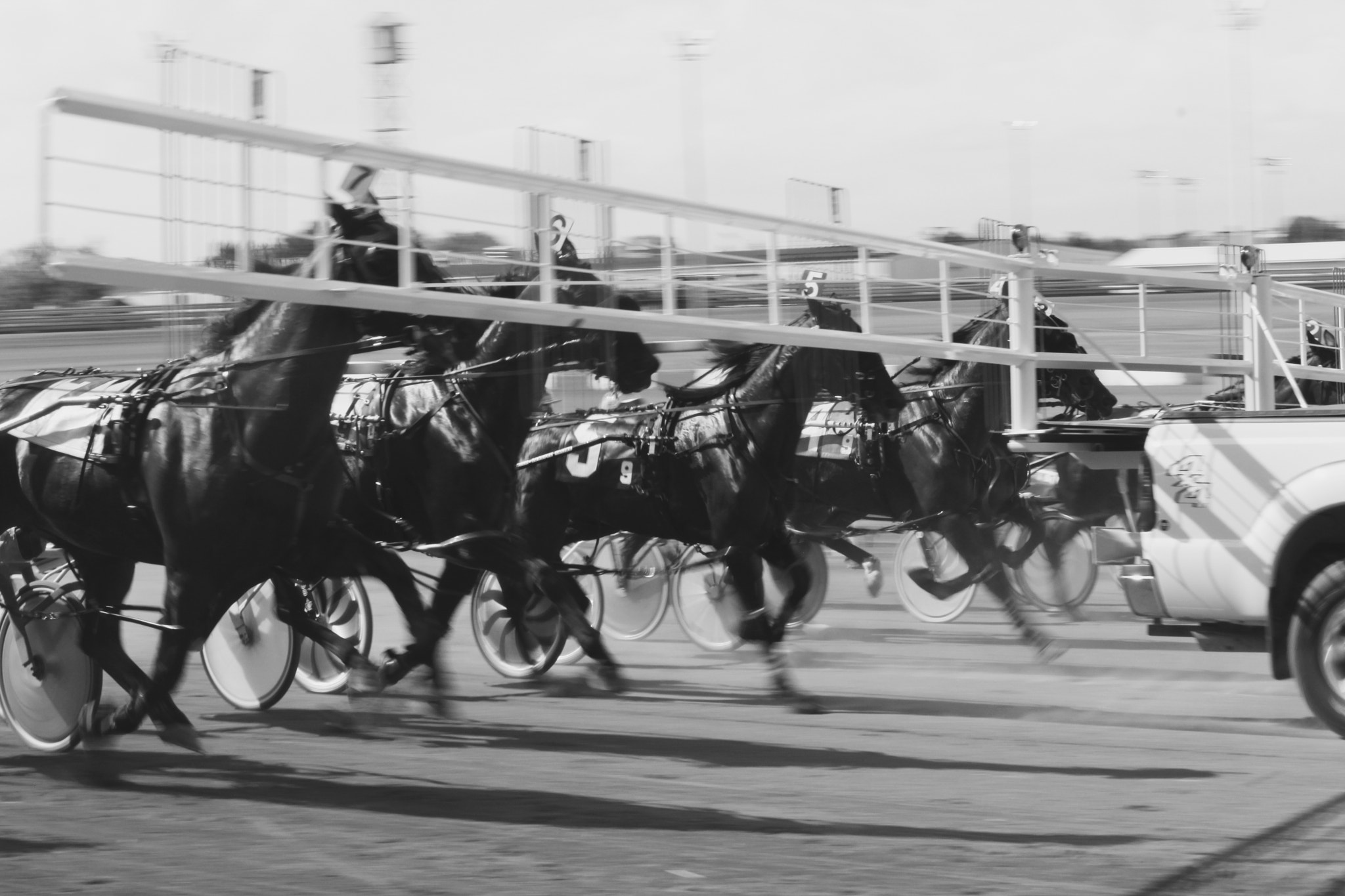 Canon EF-S 55-250mm F4-5.6 IS STM sample photo. The horserace photography