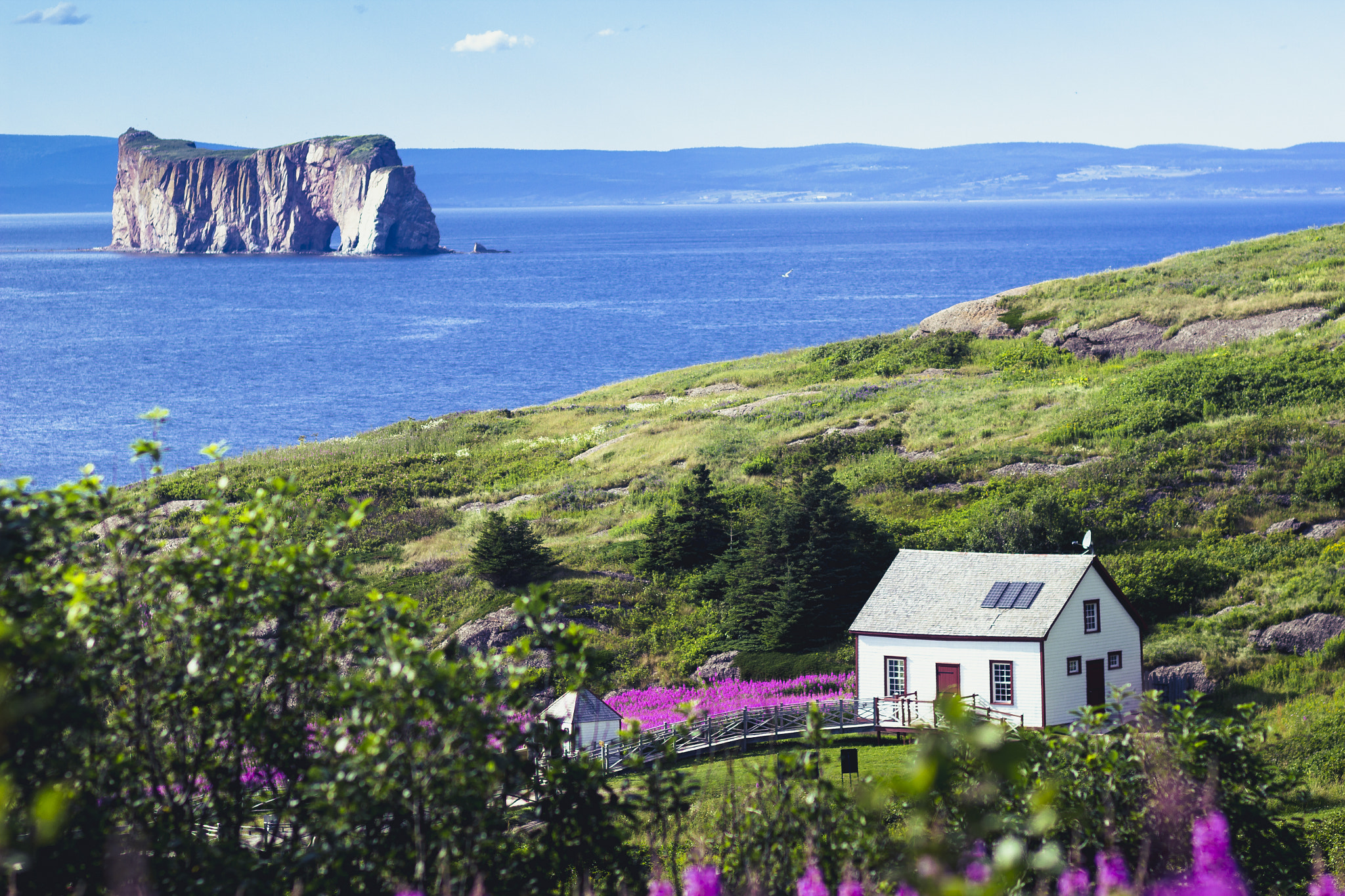 Canon EF 85mm F1.8 USM sample photo. Percé photography