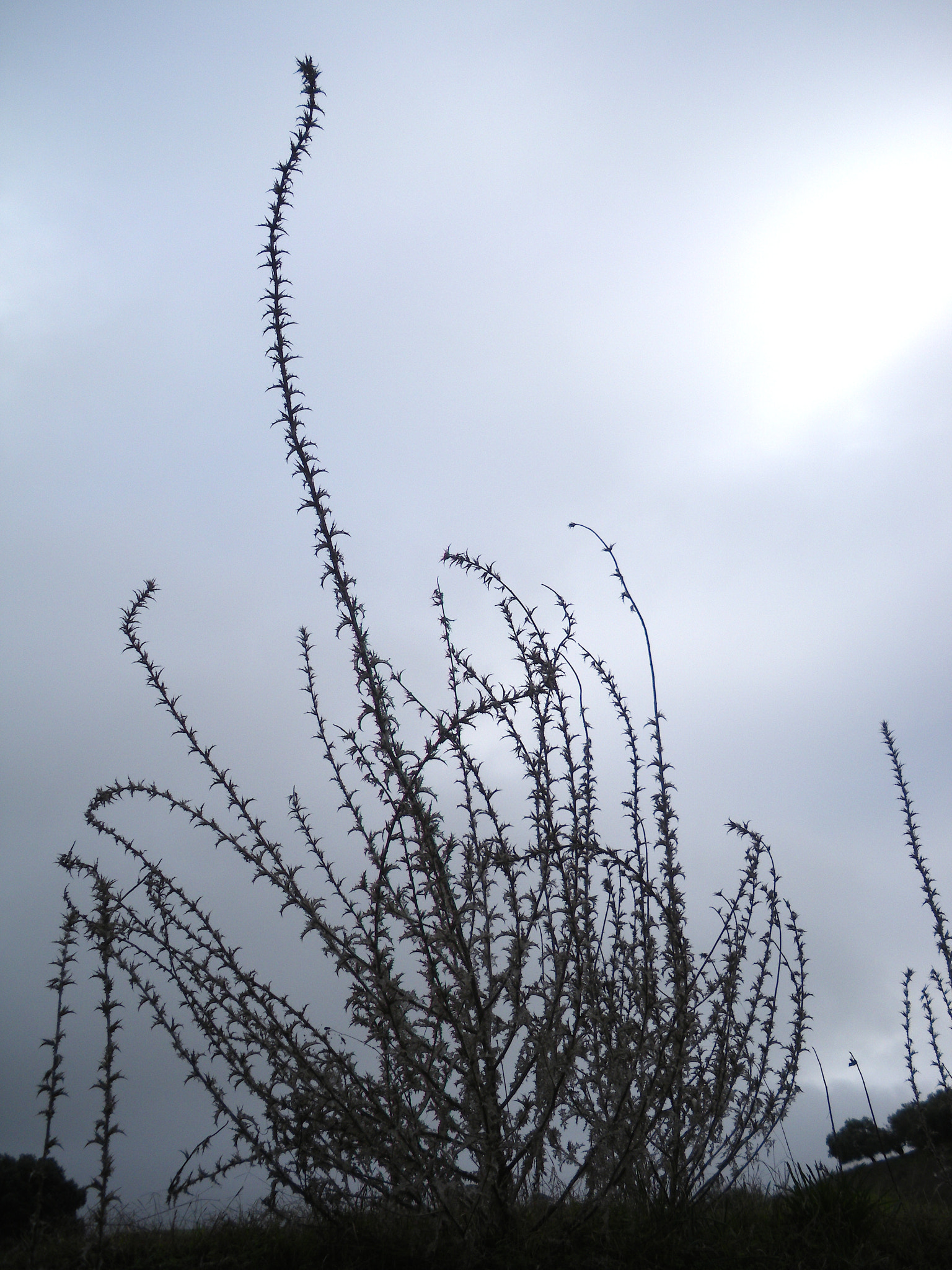 Pentax Optio M60 sample photo. Inner landscape photography
