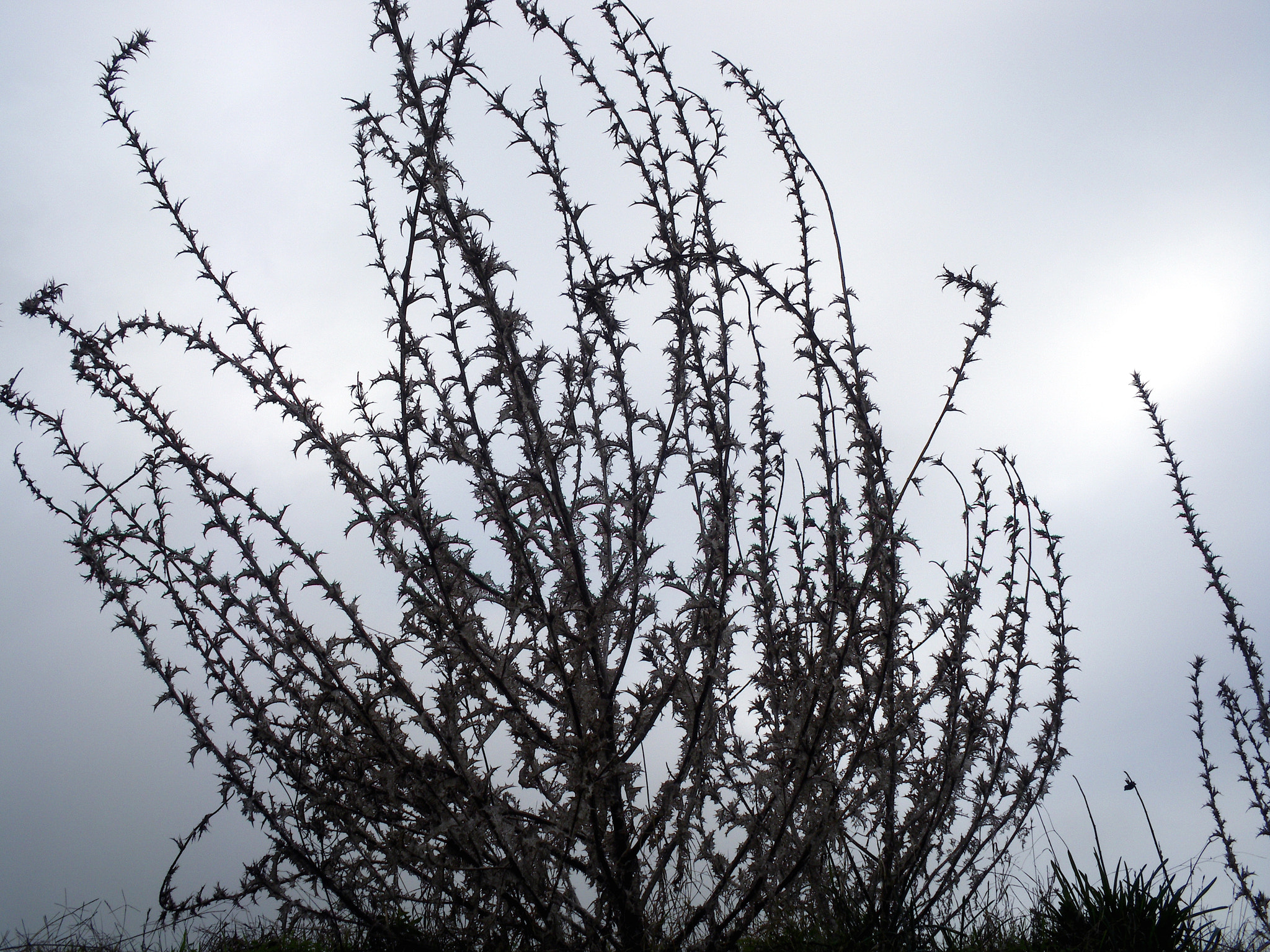 Pentax Optio M60 sample photo. Inner landscape photography