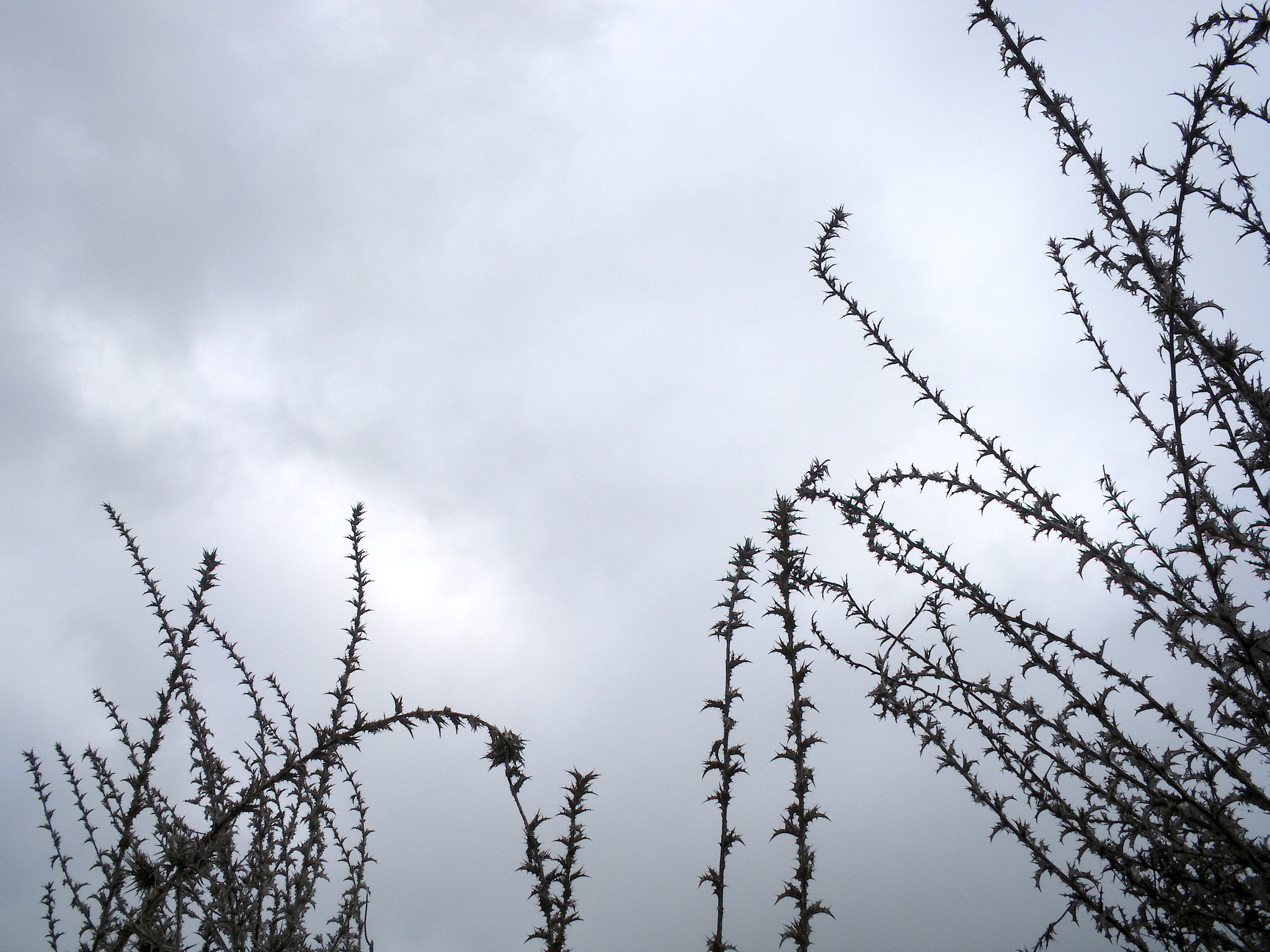 Pentax Optio M60 sample photo. Inner landscape photography