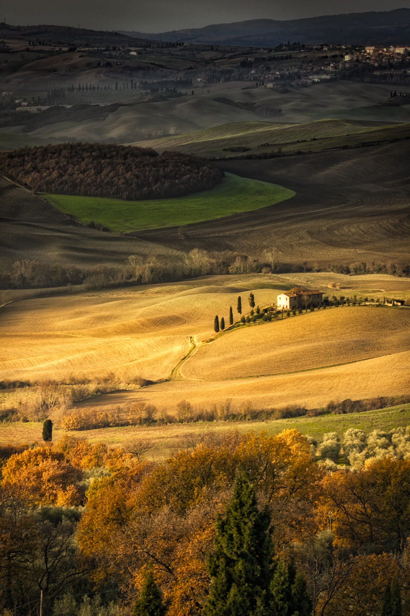 Canon EOS 760D (EOS Rebel T6s / EOS 8000D) sample photo. Spot light sun pienza photography