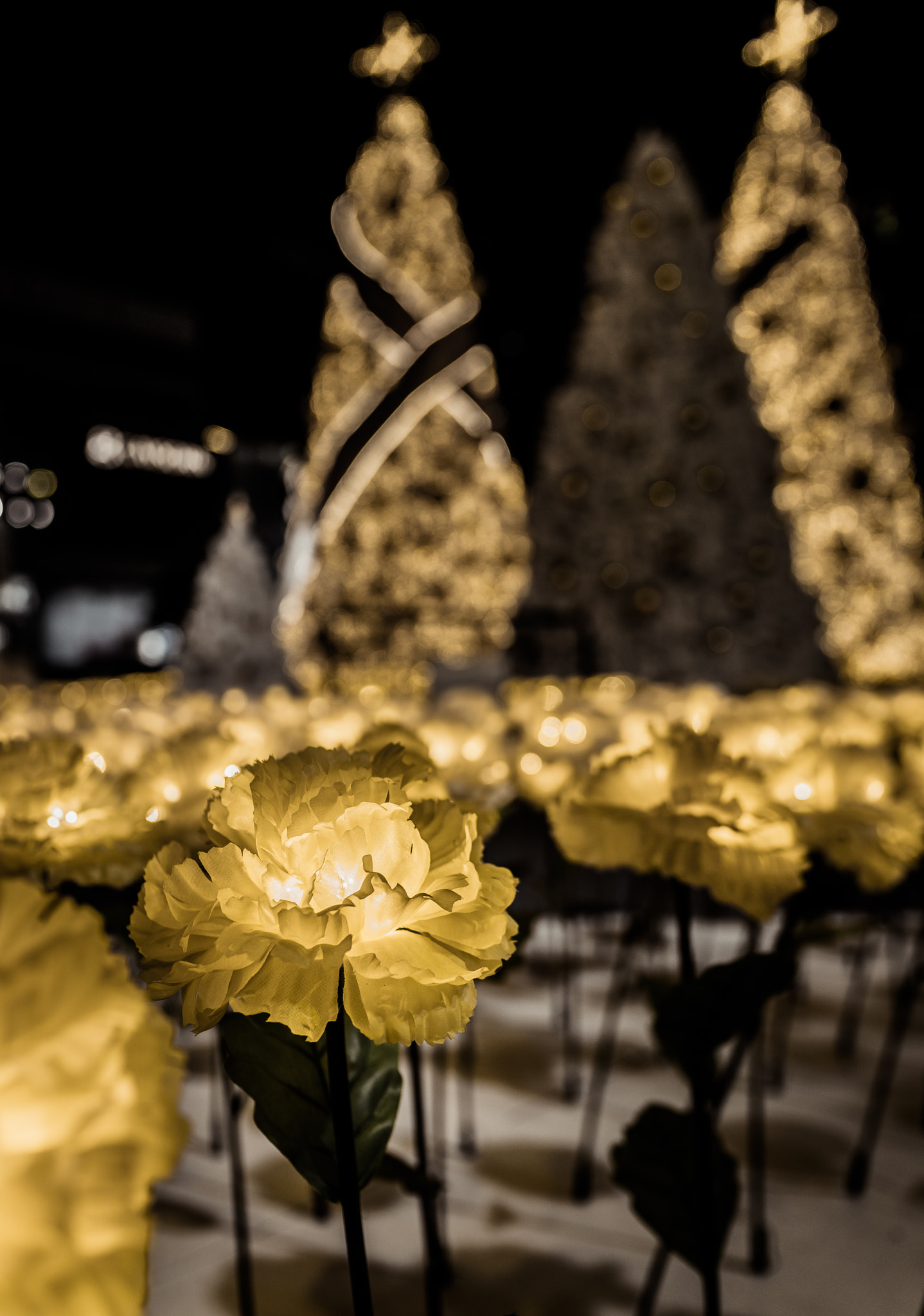 Sony a6300 + 18-35mm F1.8 DC HSM | Art 013 sample photo