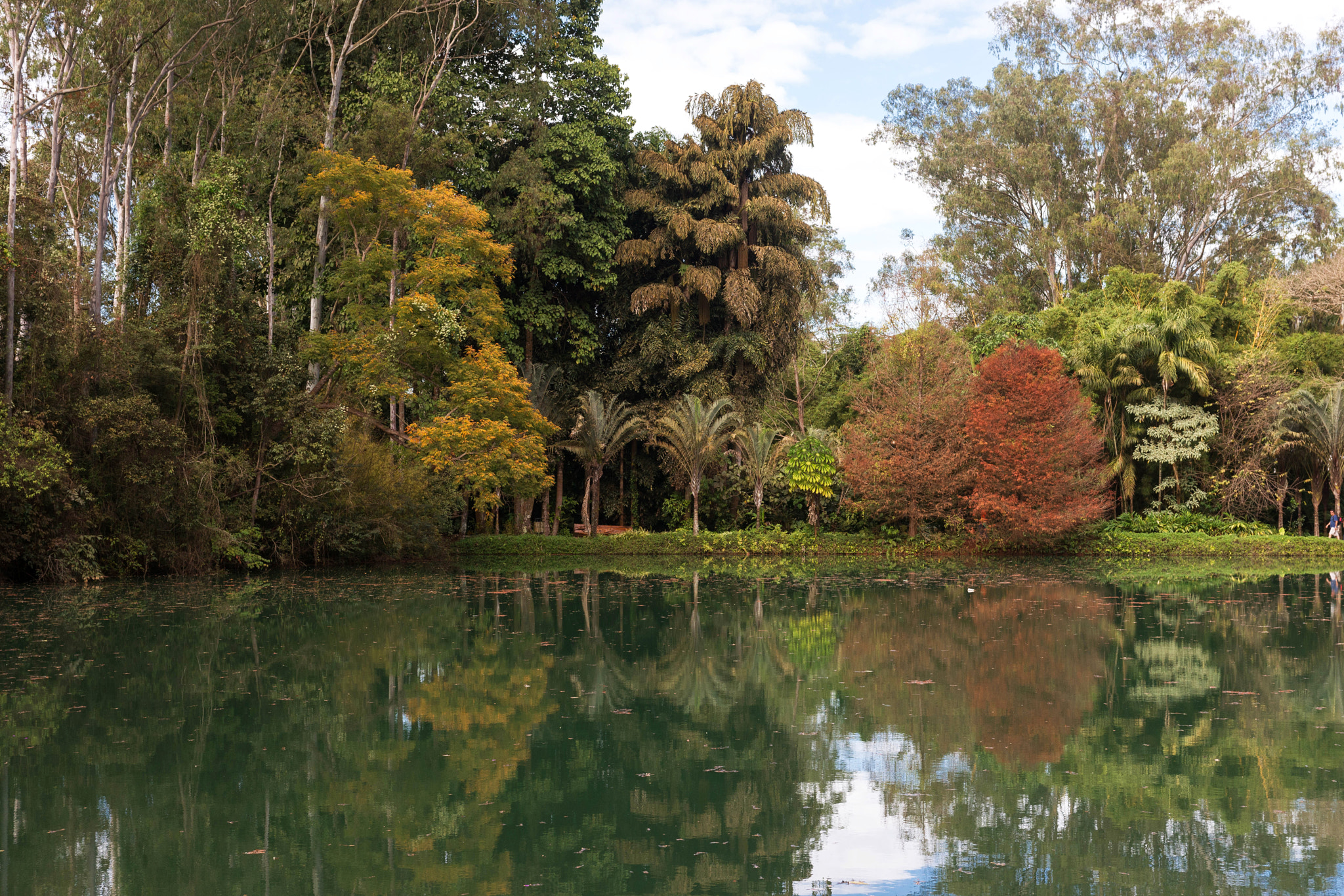 Sony Alpha DSLR-A850 sample photo. Inhotim photography