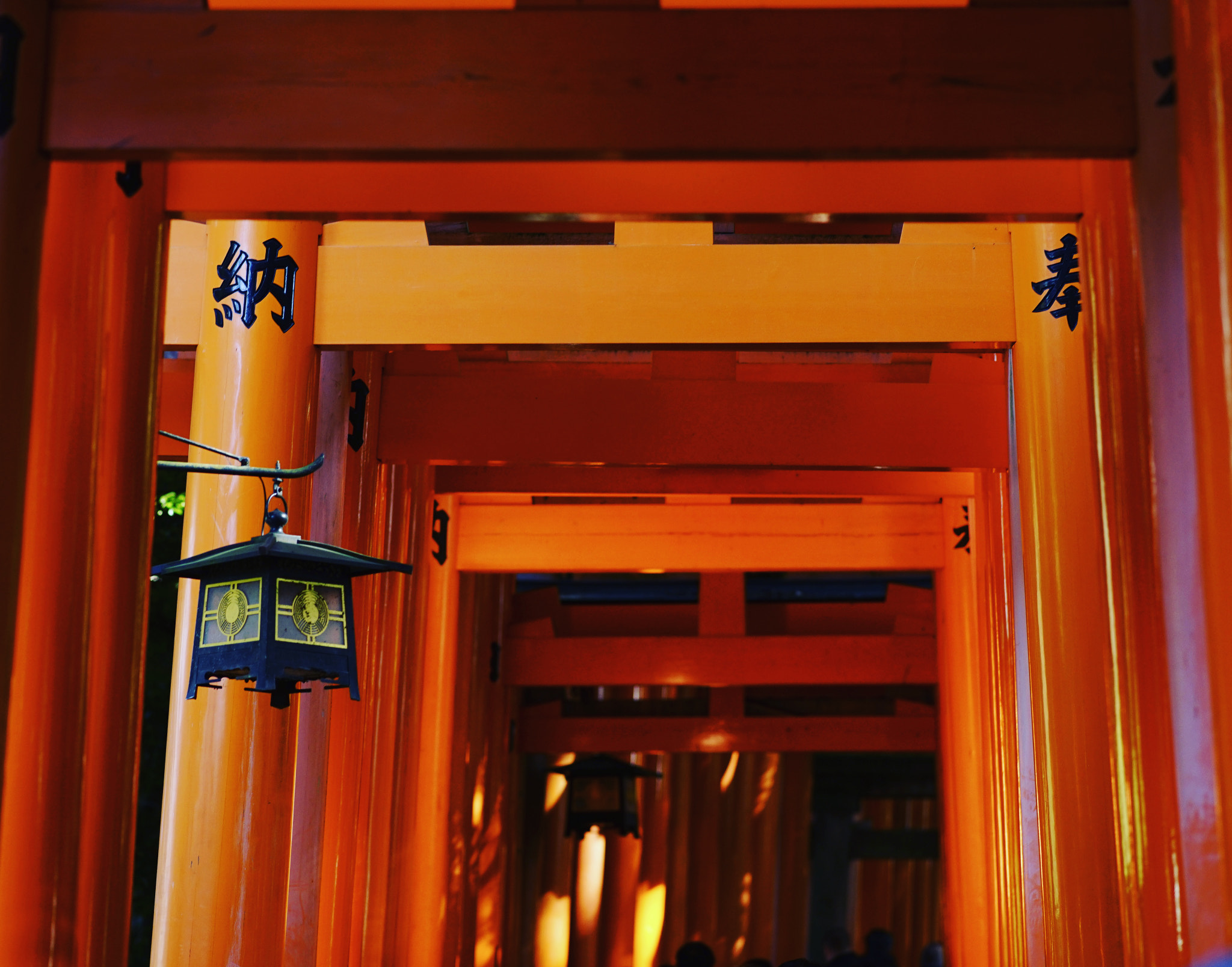 Sony Sonnar T* 135mm F1.8 ZA sample photo