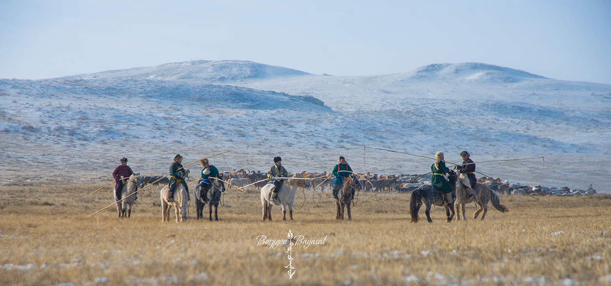 AF Zoom-Nikkor 24-120mm f/3.5-5.6D IF sample photo. Mongolian horsemane photography