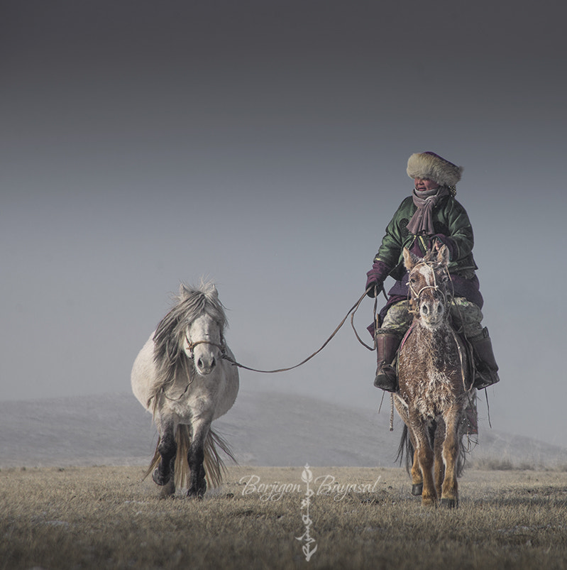 Nikon D600 + AF Zoom-Nikkor 24-120mm f/3.5-5.6D IF sample photo. Mongolian horsemane photography