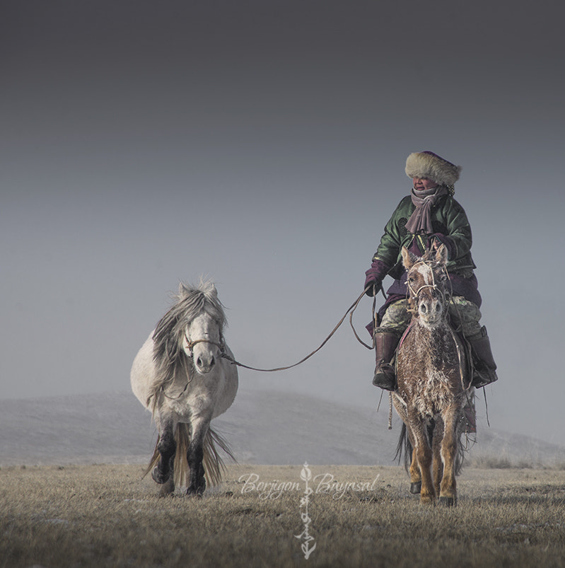 AF Zoom-Nikkor 24-120mm f/3.5-5.6D IF sample photo. Mongolian horsemane photography