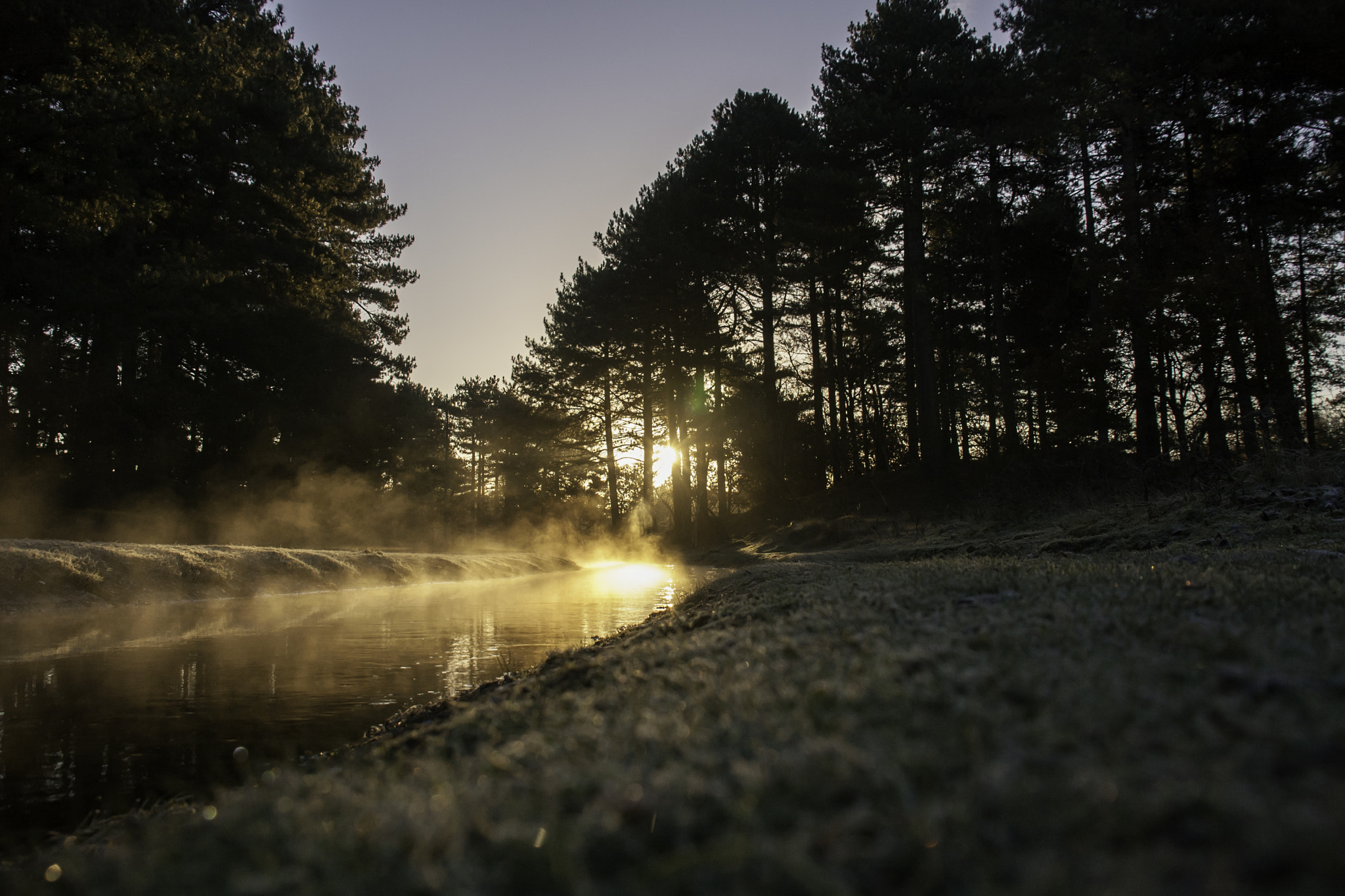 Sigma 18-200mm f/3.5-6.3 DC OS sample photo. Morning gold photography