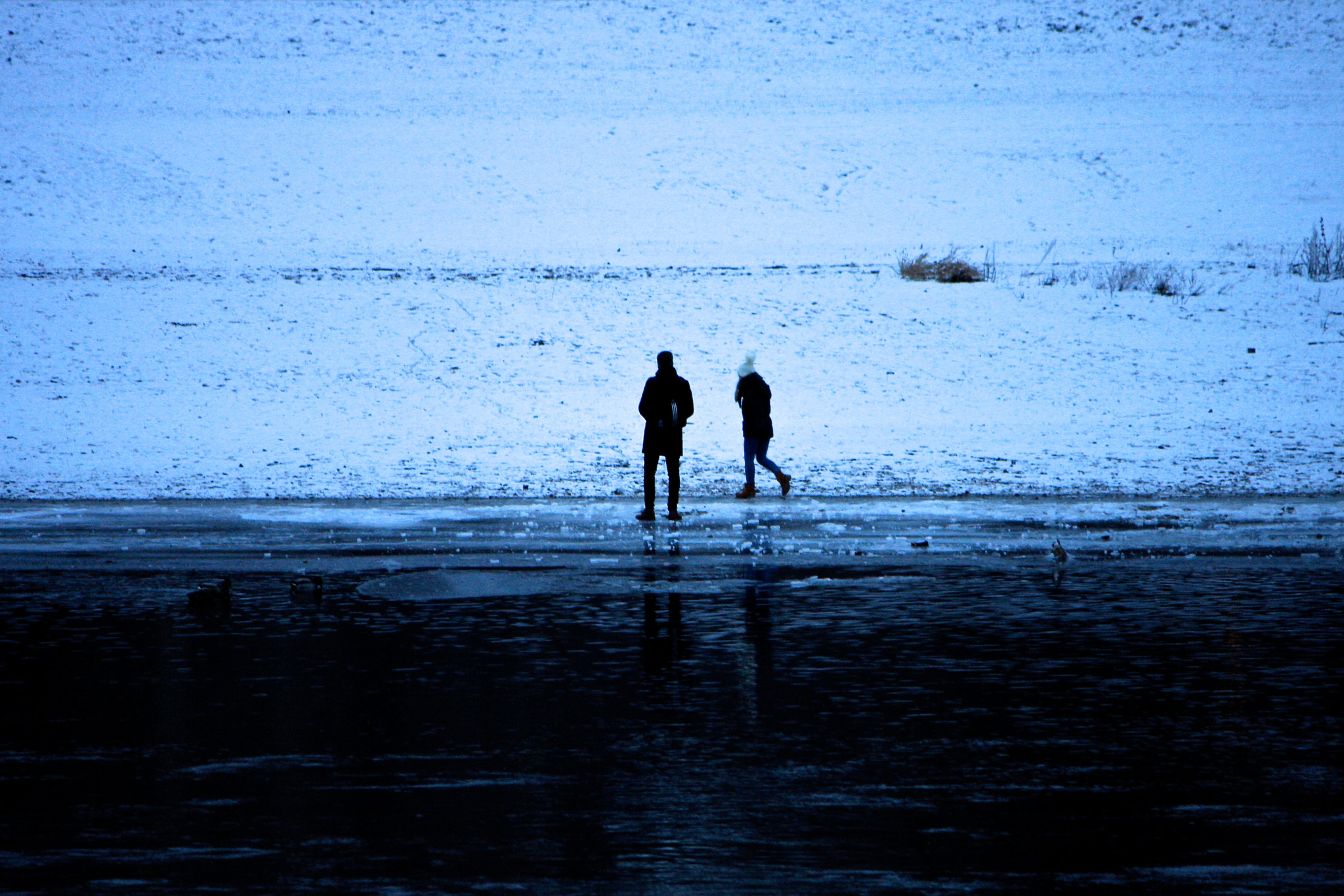 Canon EOS 40D sample photo. Frozen elbe photography