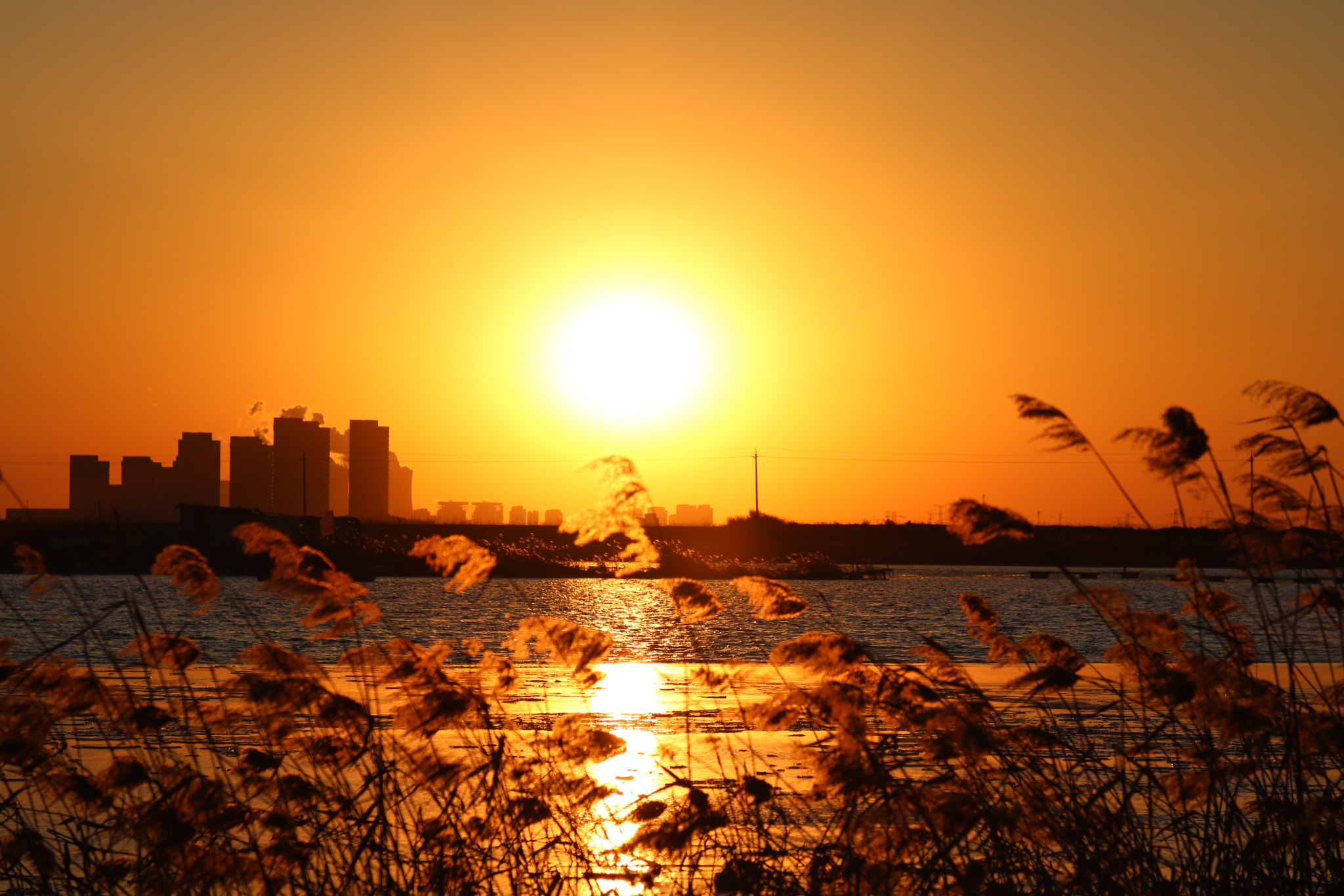 Canon EF 35-80mm f/4-5.6 sample photo