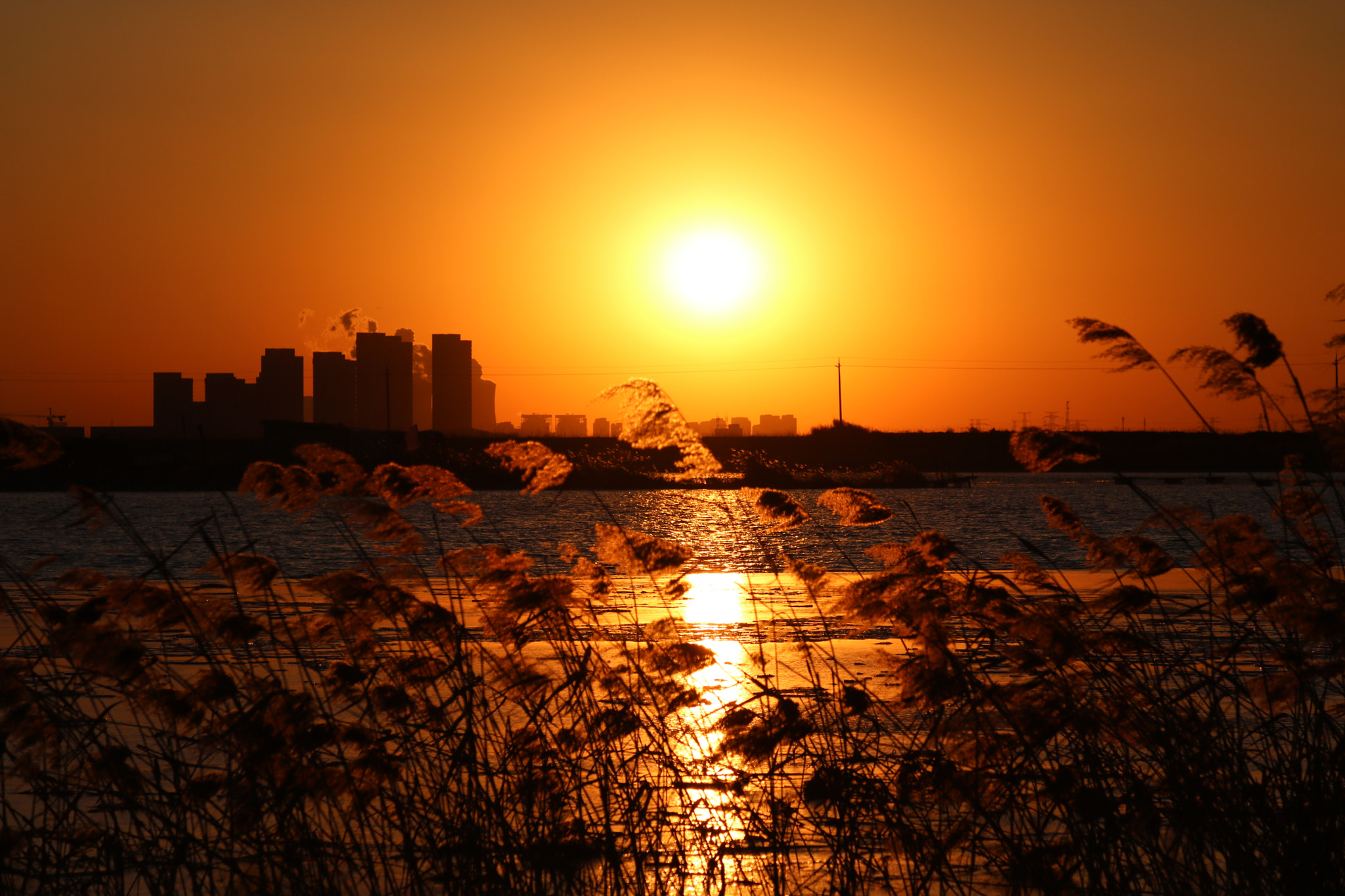 Canon EF 35-80mm f/4-5.6 sample photo