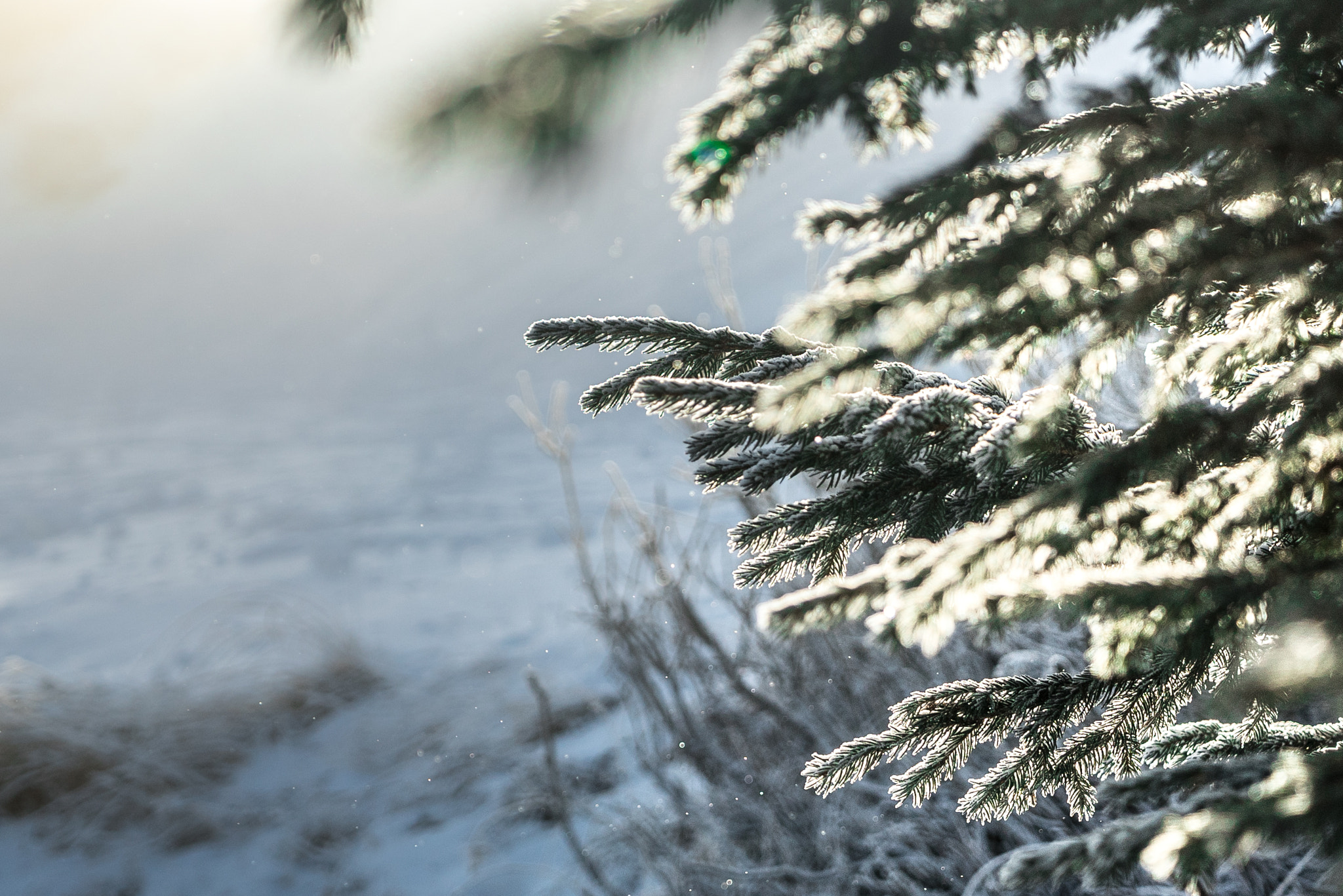 Sony a7S II sample photo. Winter impression at seiser alm photography