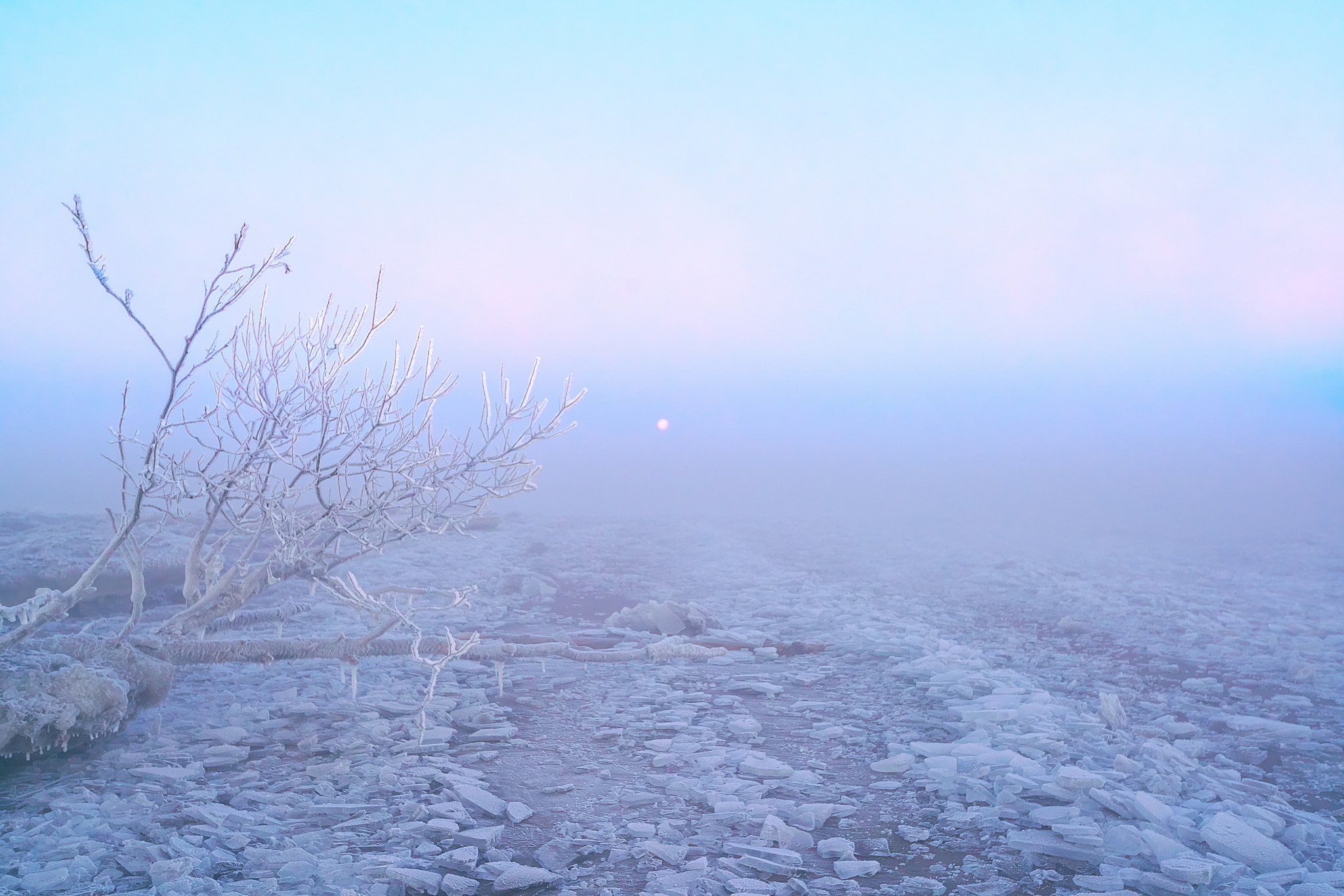 Sony a99 II + Sony Vario-Sonnar T* 16-35mm F2.8 ZA SSM sample photo. Foggy moon photography