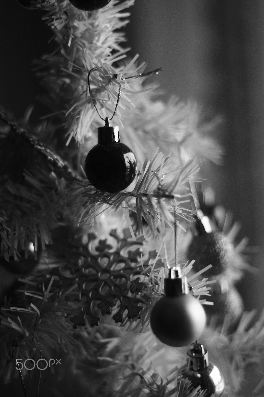 Canon EOS 600D (Rebel EOS T3i / EOS Kiss X5) sample photo. B&w christmas tree photography