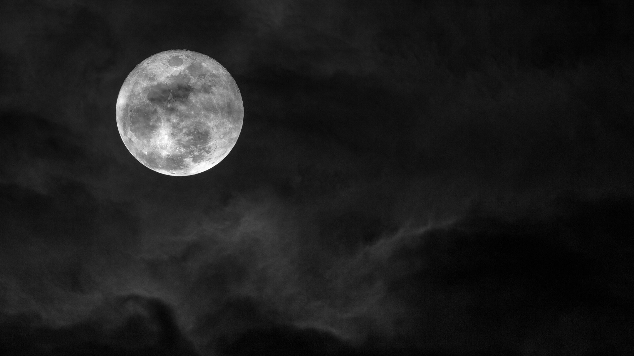 Canon EF 400mm F2.8L IS II USM sample photo. Wolf moon photography