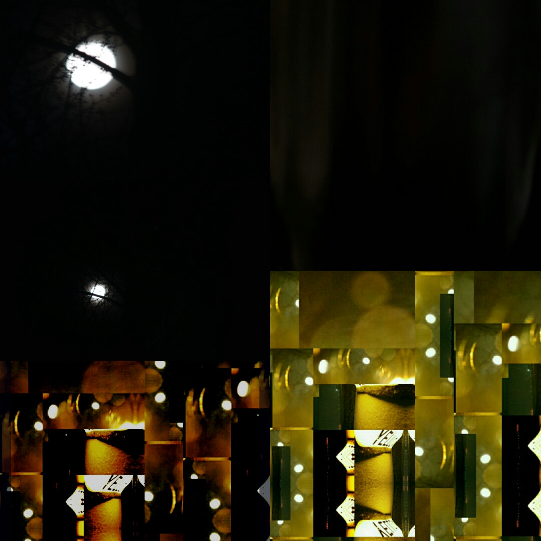 moon bark tweet