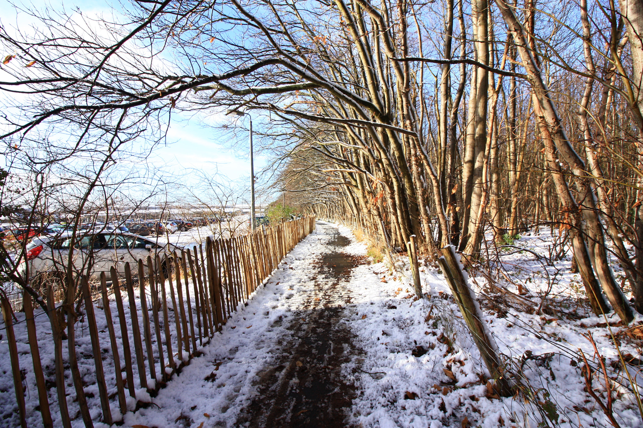 Canon EOS 450D (EOS Rebel XSi / EOS Kiss X2) sample photo. Snow path photography