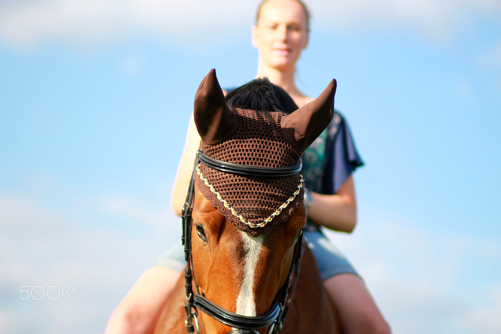 Canon EOS 650D (EOS Rebel T4i / EOS Kiss X6i) + Canon EF 85mm F1.8 USM sample photo. Julia horse-shooting photography