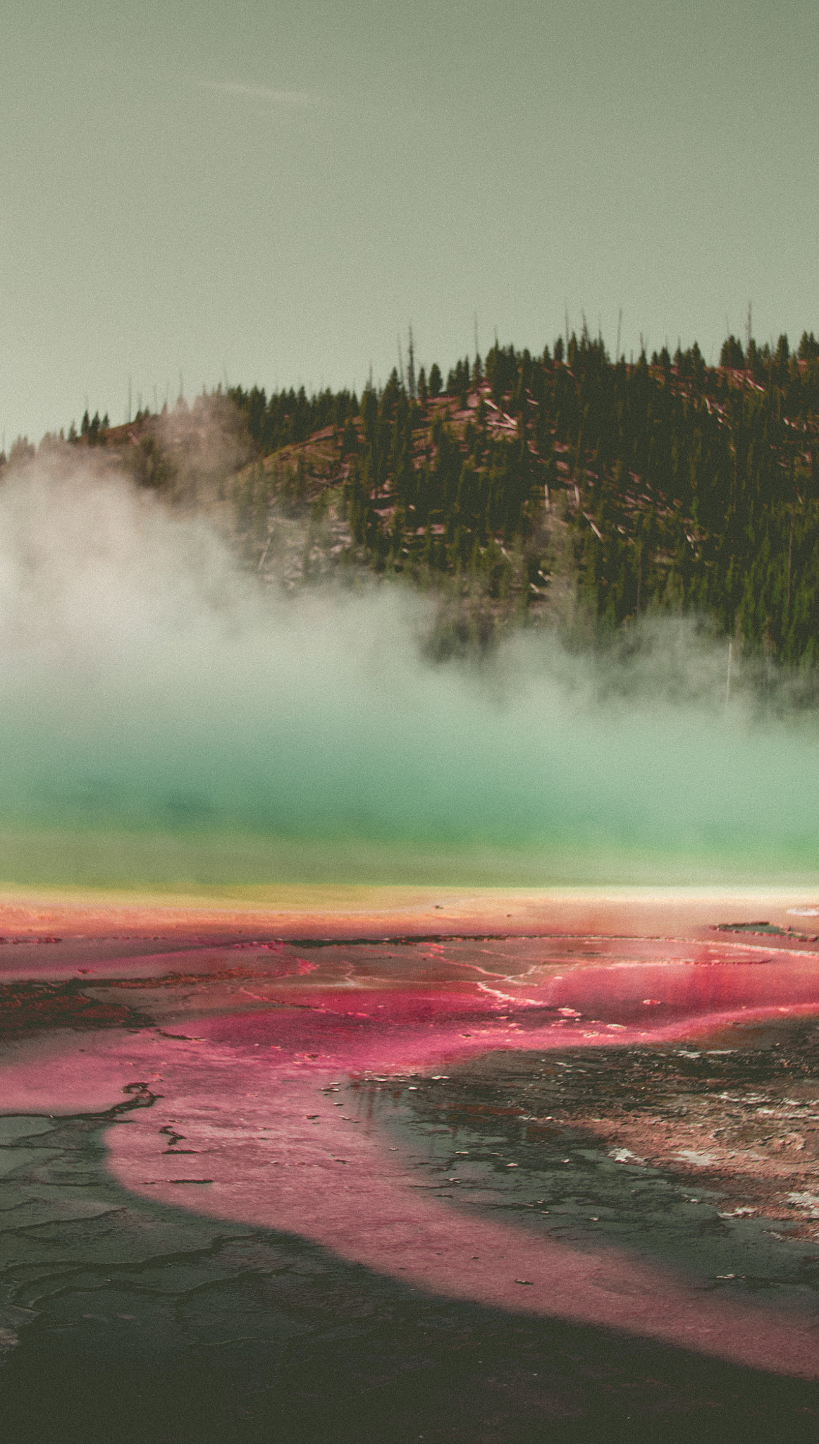 Panasonic Lumix DMC-GH4 + .7x Metabones 30/1.4 sample photo. Grand prismatic spring photography