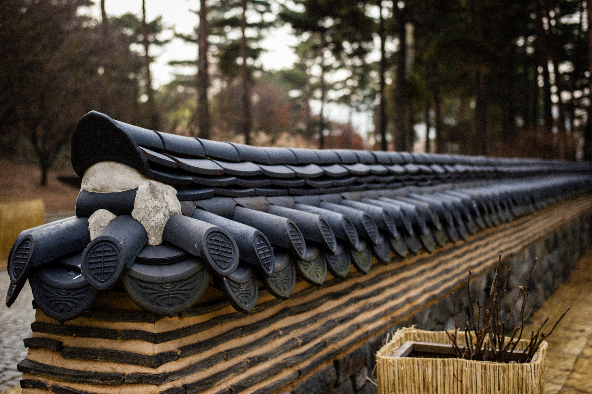 Nikon D3S + Nikon AF-S Nikkor 50mm F1.8G sample photo. The wall photography