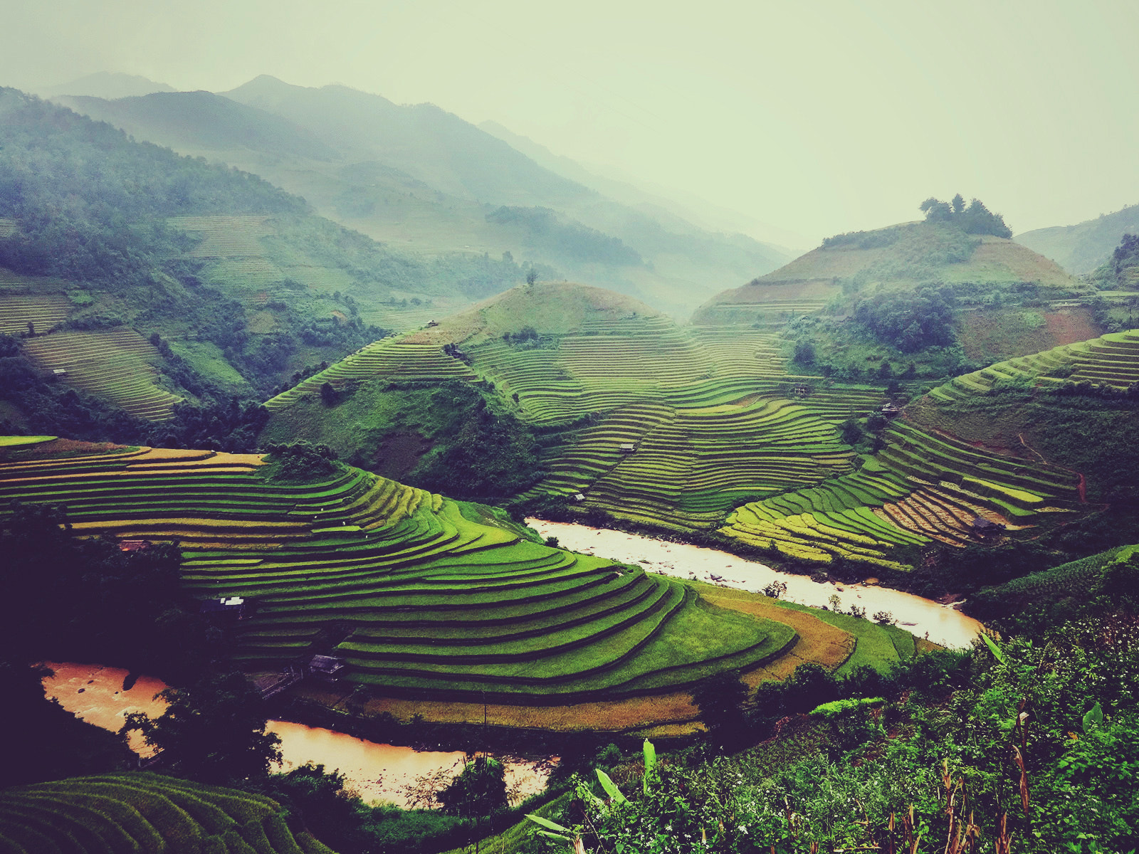 Sony Cyber-shot DSC-WX80 sample photo. Mountainous rice fields photography