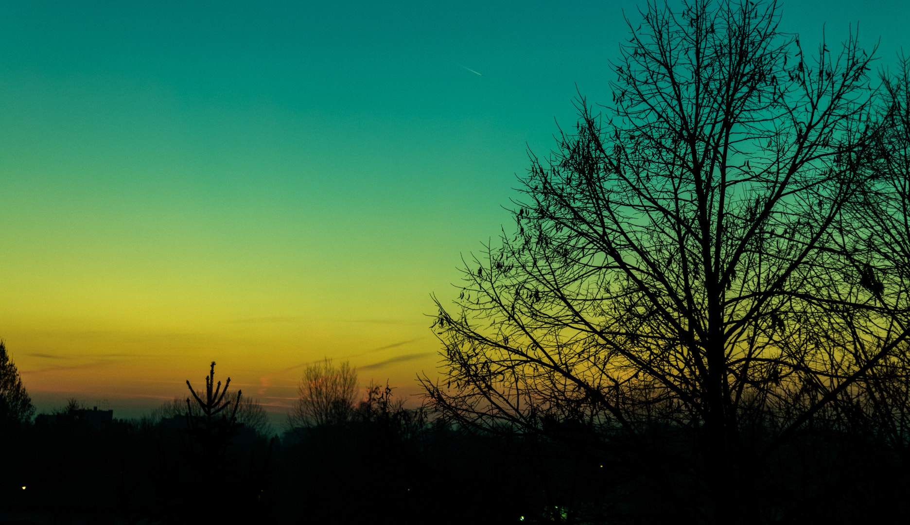 Canon EOS 750D (EOS Rebel T6i / EOS Kiss X8i) sample photo. Sweet photography