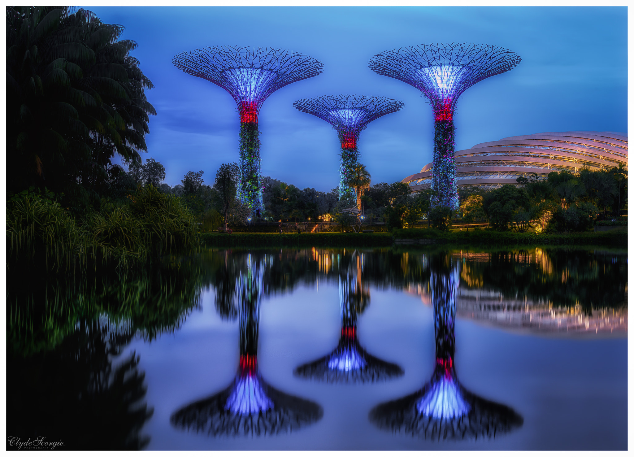 Nikon D810 + Sigma 24-105mm F4 DG OS HSM Art sample photo. Gardens by the bay photography