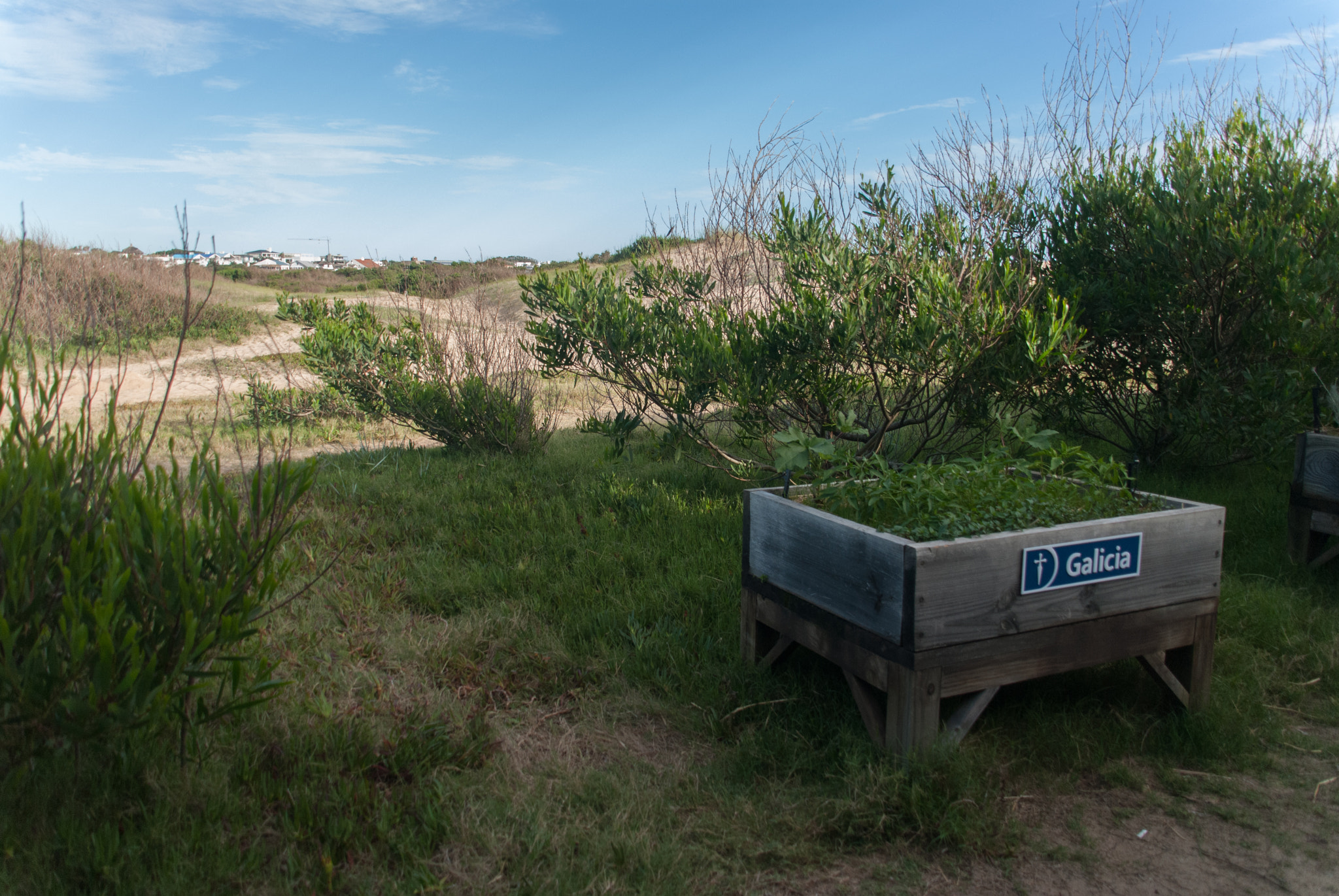 Sigma 18-200mm F3.5-6.3 DC sample photo. Bank beach photography