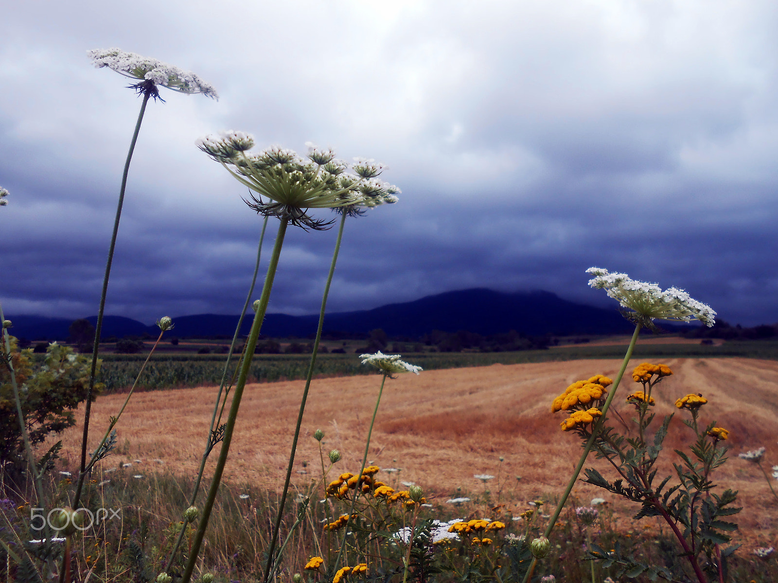 Nikon COOLPIX S2700 sample photo. Blue hills photography