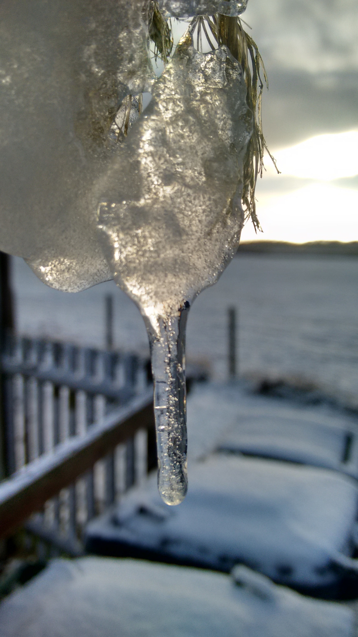Motorola Moto G with 4G LTE (2nd Gen) sample photo