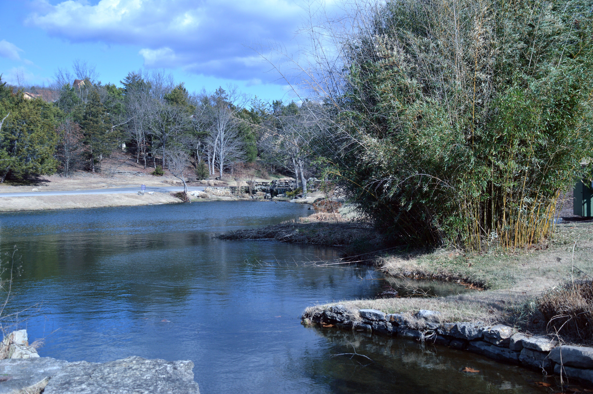 Nikon D3200 sample photo. Winter pond photography