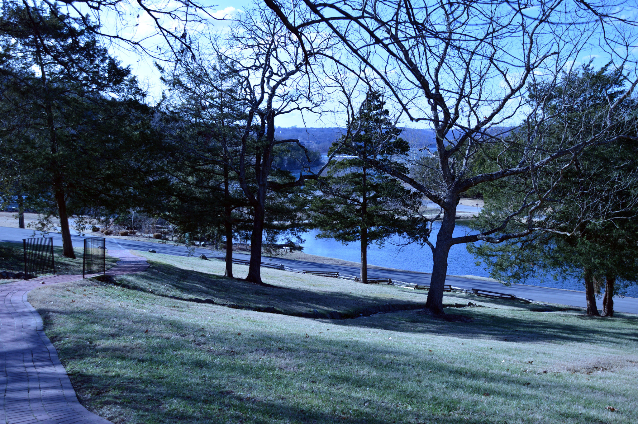 Nikon D3200 sample photo. Big cedar path photography