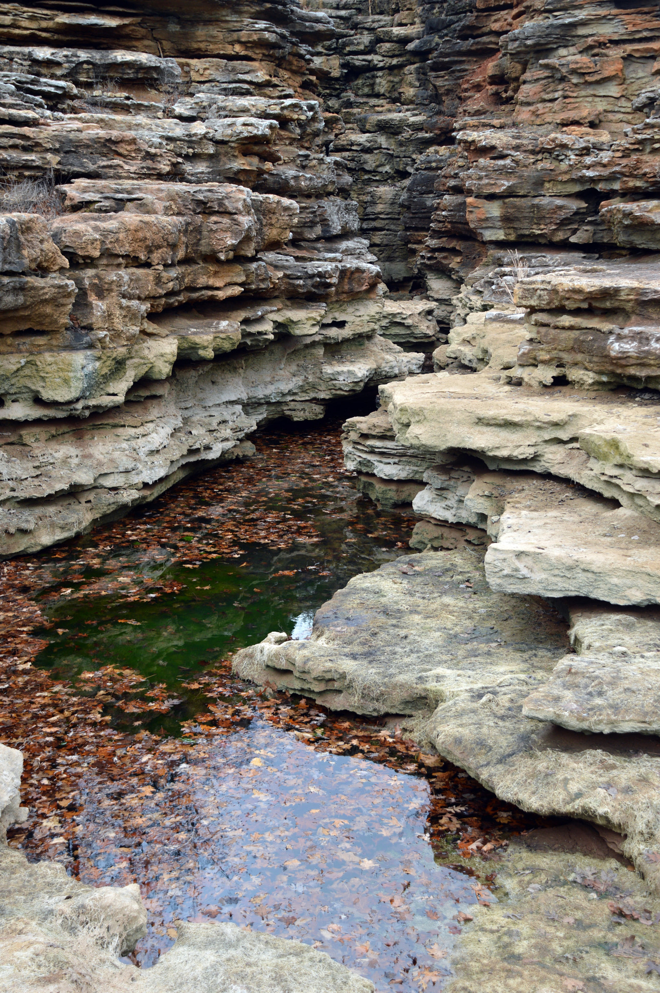 Nikon D3200 sample photo. Hidden pool 1 photography