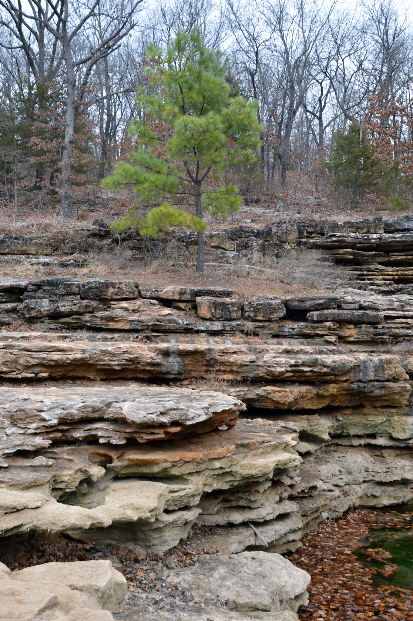 Nikon D3200 sample photo. Lone pine photography