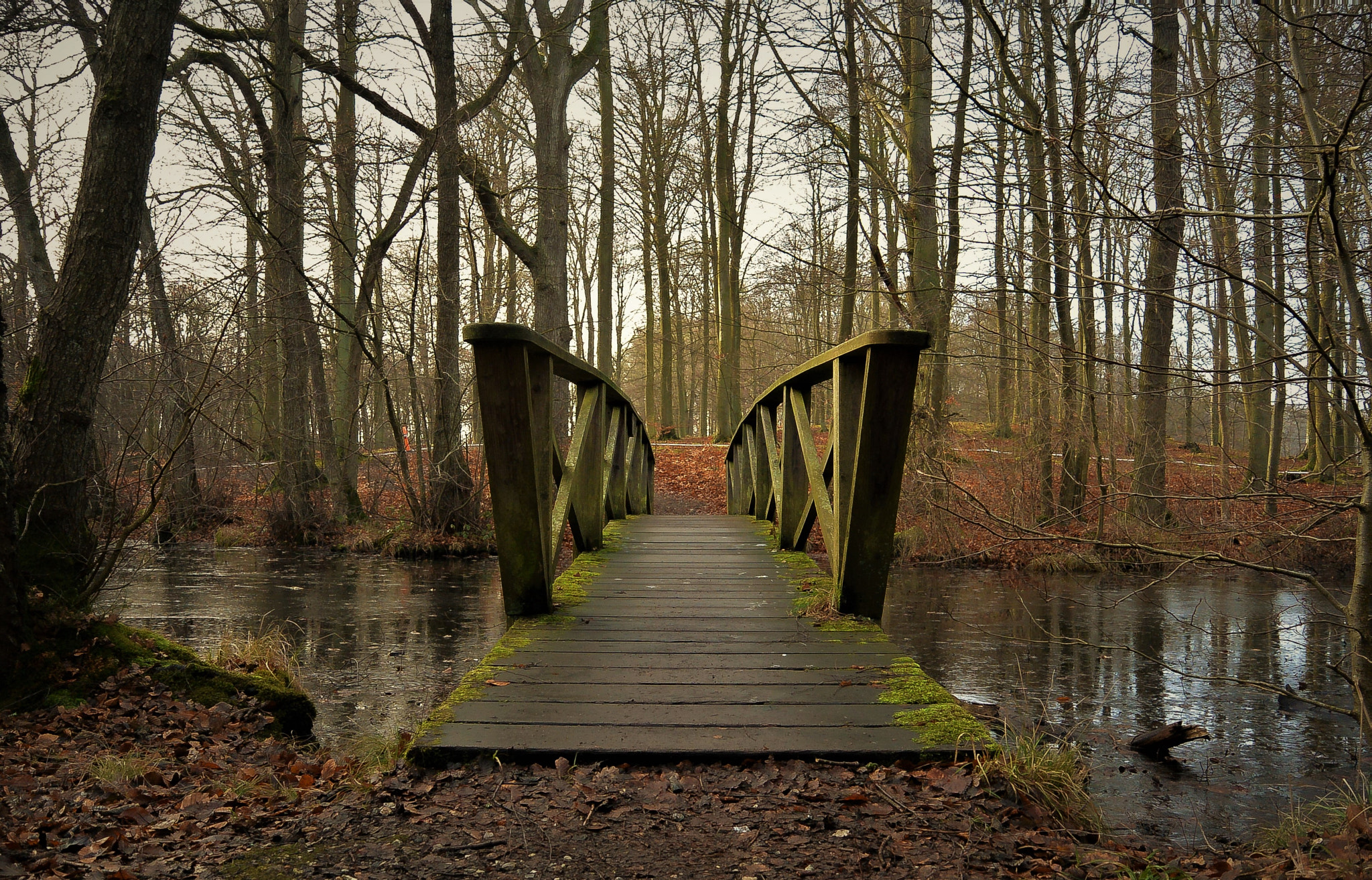 Nikon 1 S1 sample photo. Winter walk... photography