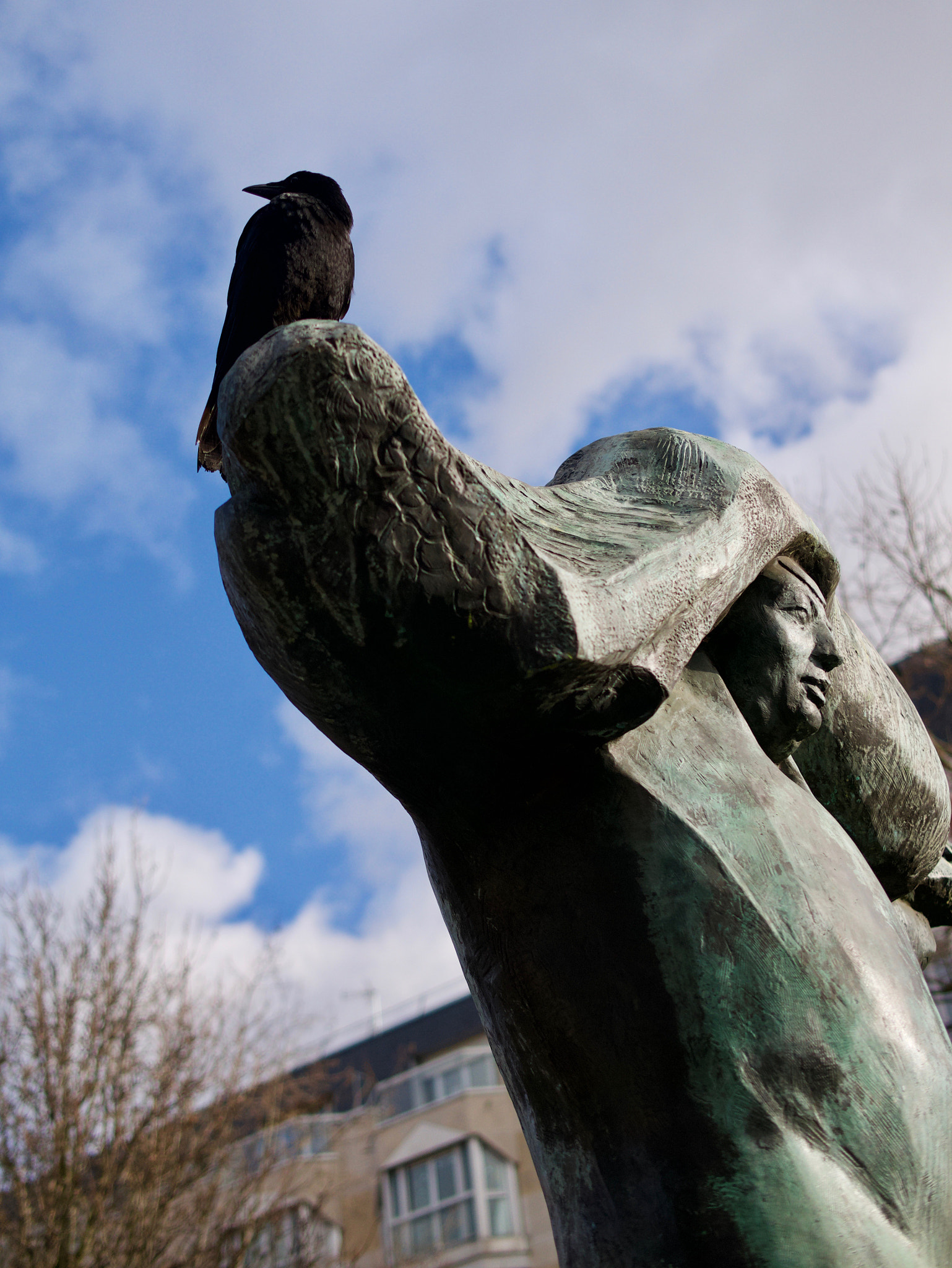Panasonic Lumix DMC-GX85 (Lumix DMC-GX80 / Lumix DMC-GX7 Mark II) + Panasonic Leica DG Summilux 25mm F1.4 II ASPH sample photo. Black crow in paris photography