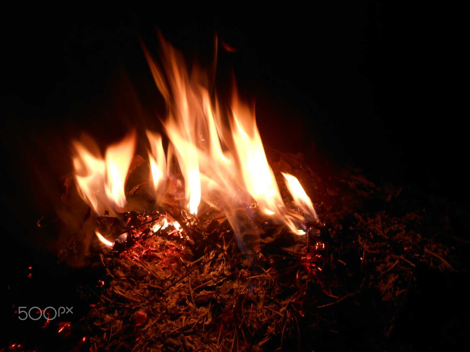 Nikon COOLPIX S2700 sample photo. Flame photography