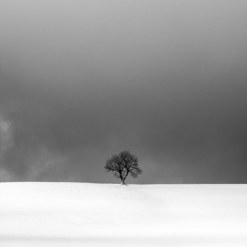 avant la tempête
